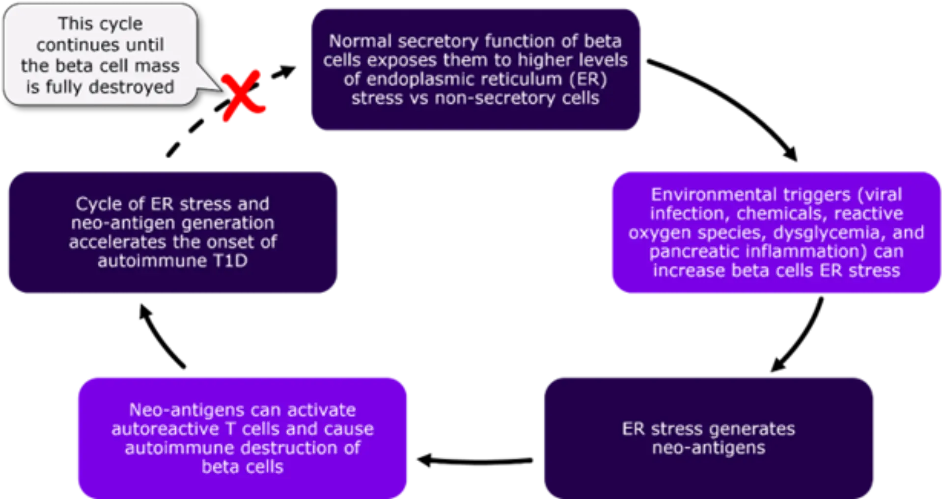 Pathophysiology of autoimmune type 1 diabetes | Campus Sanofi