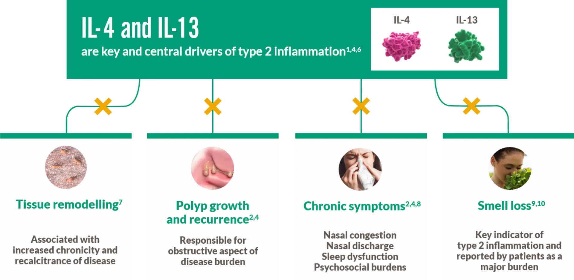 Type 2 inflammation | Dupixent® (dupilumab) | For UK Healthcare Providers