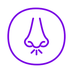 pictogramme obstruction nasale