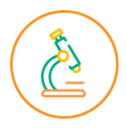 5 0 safety nolabtesting 2024 10 31 09 43 46