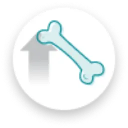Bone icon