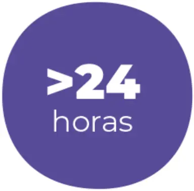 24 horas