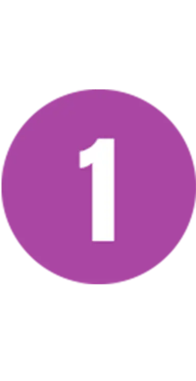 The number 1