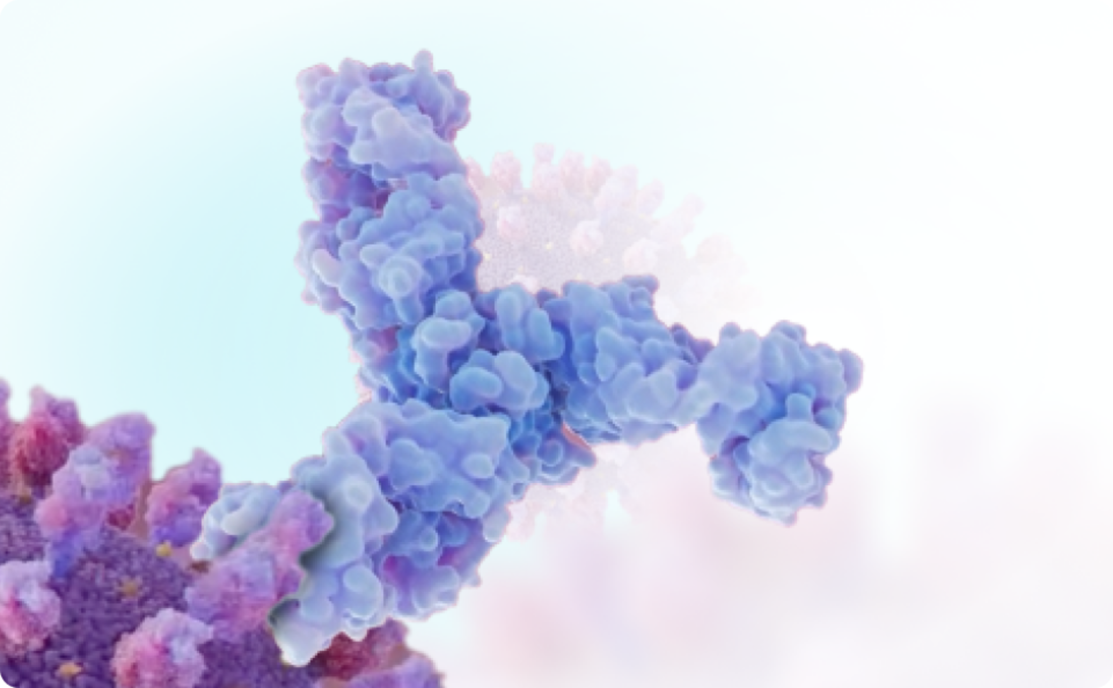Beyfortus mAb image
