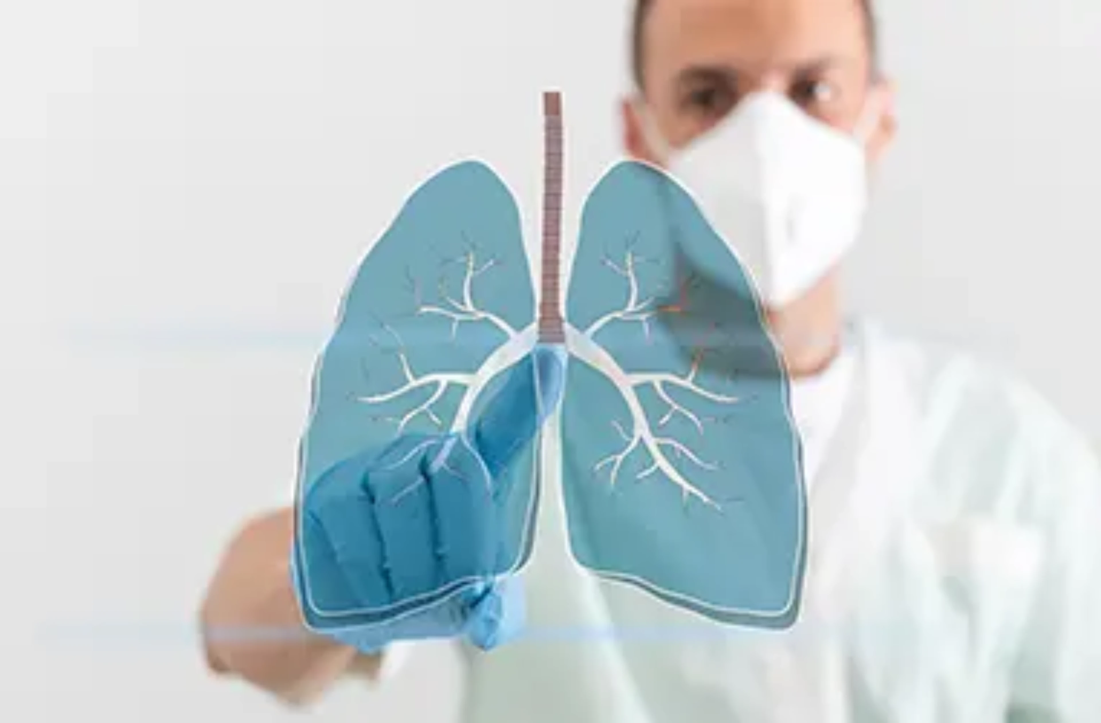 A doctor showing a lung before him