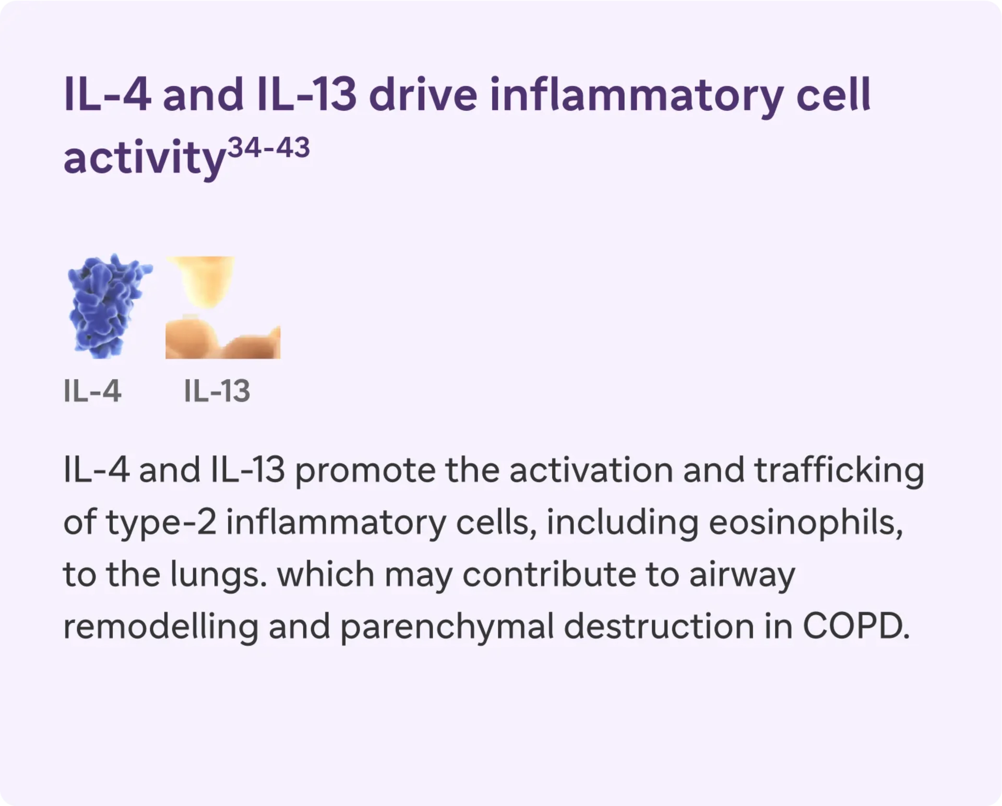 IL-4 and IL-13 promote the activation and trafficking of type-2 inflammatory cells, including eosinophils, to the lungs.