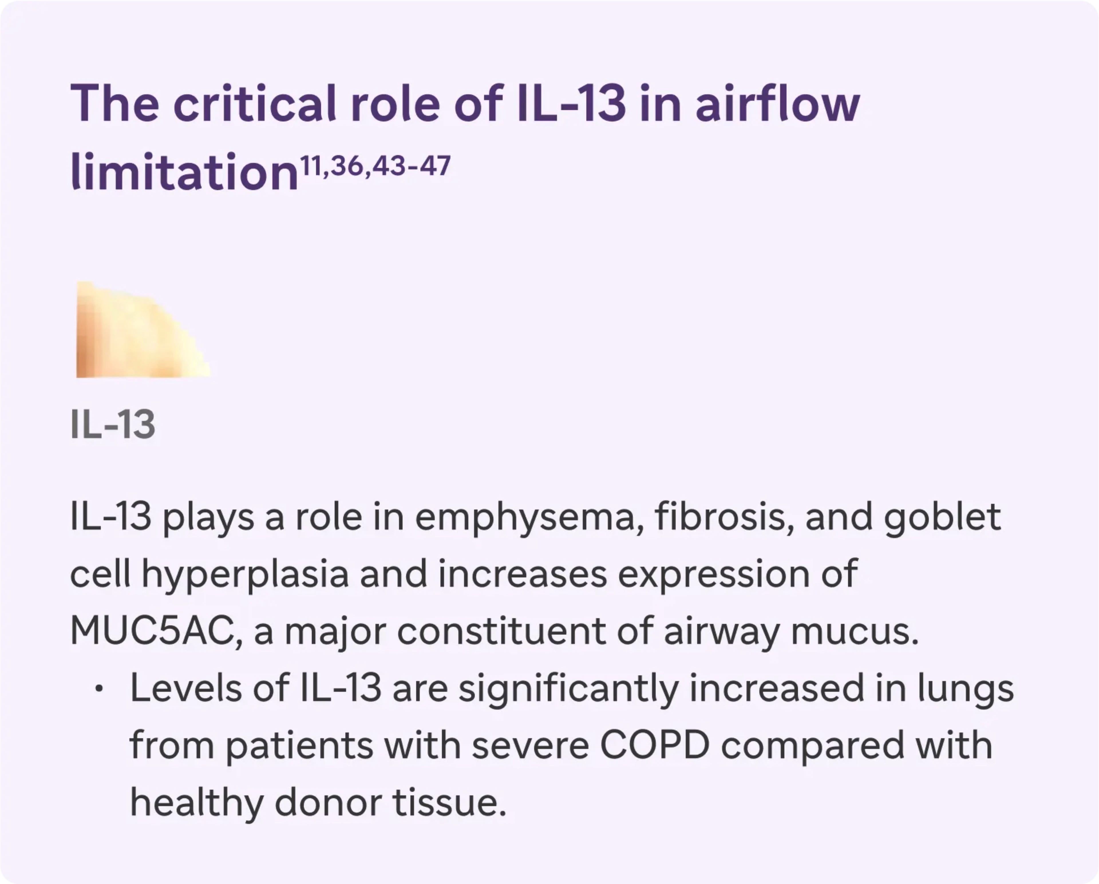 IL-13 plays a role in emphysema, fibrosis, and goblet cell hyperplasia and increases expression of MUC5AC