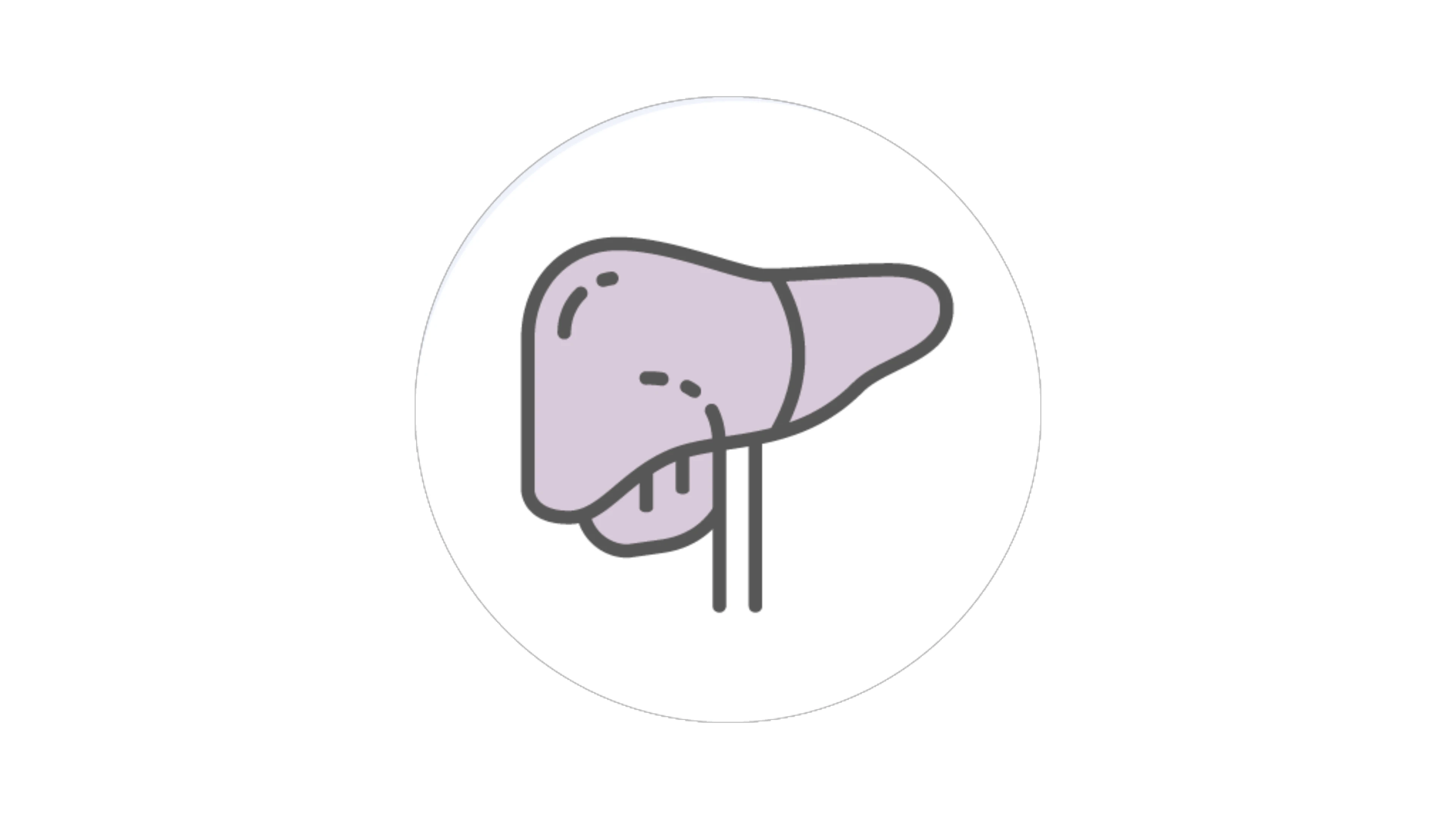 icone-atteinte-hepatomegalie