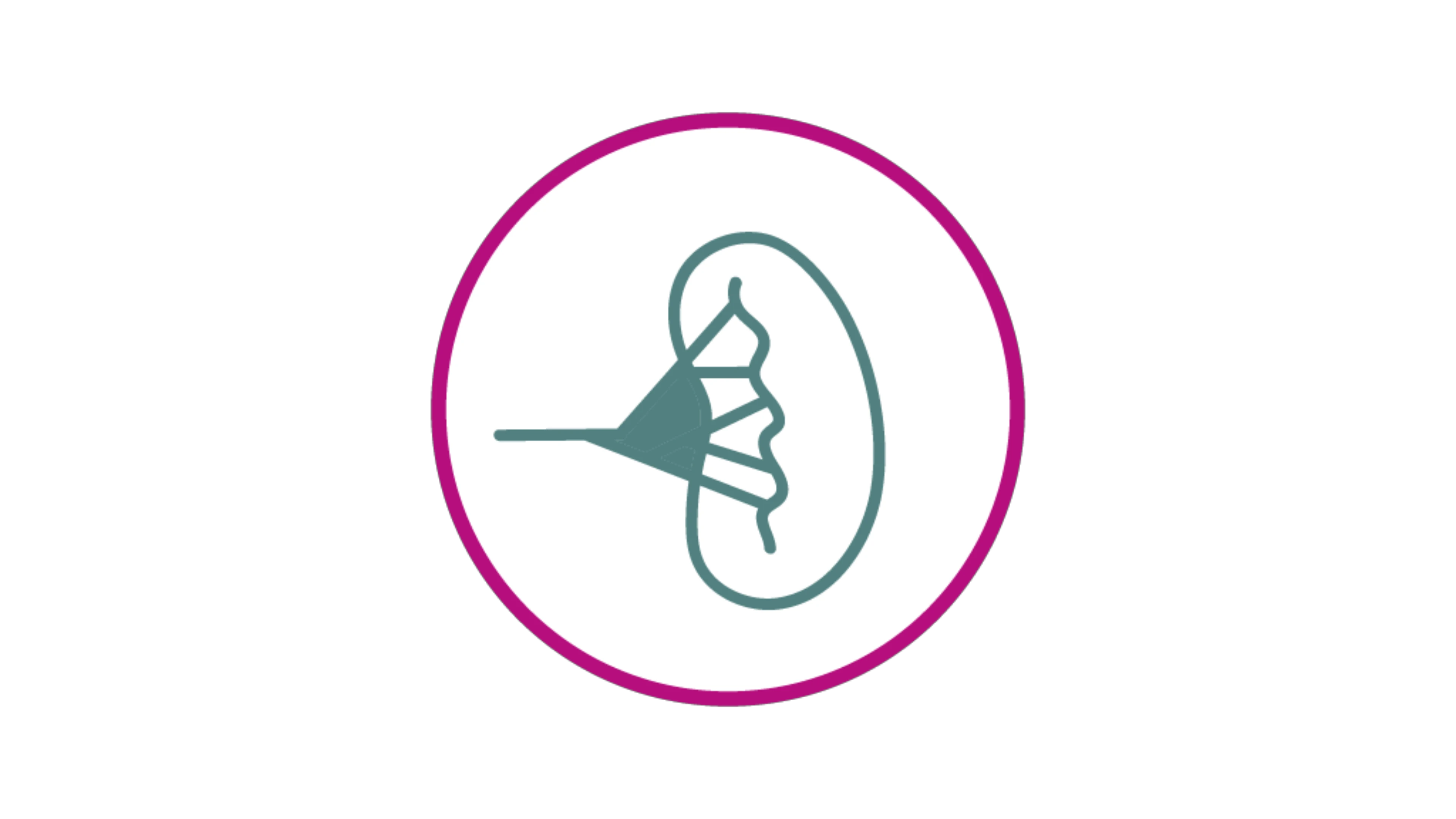 icone-splenomegalie