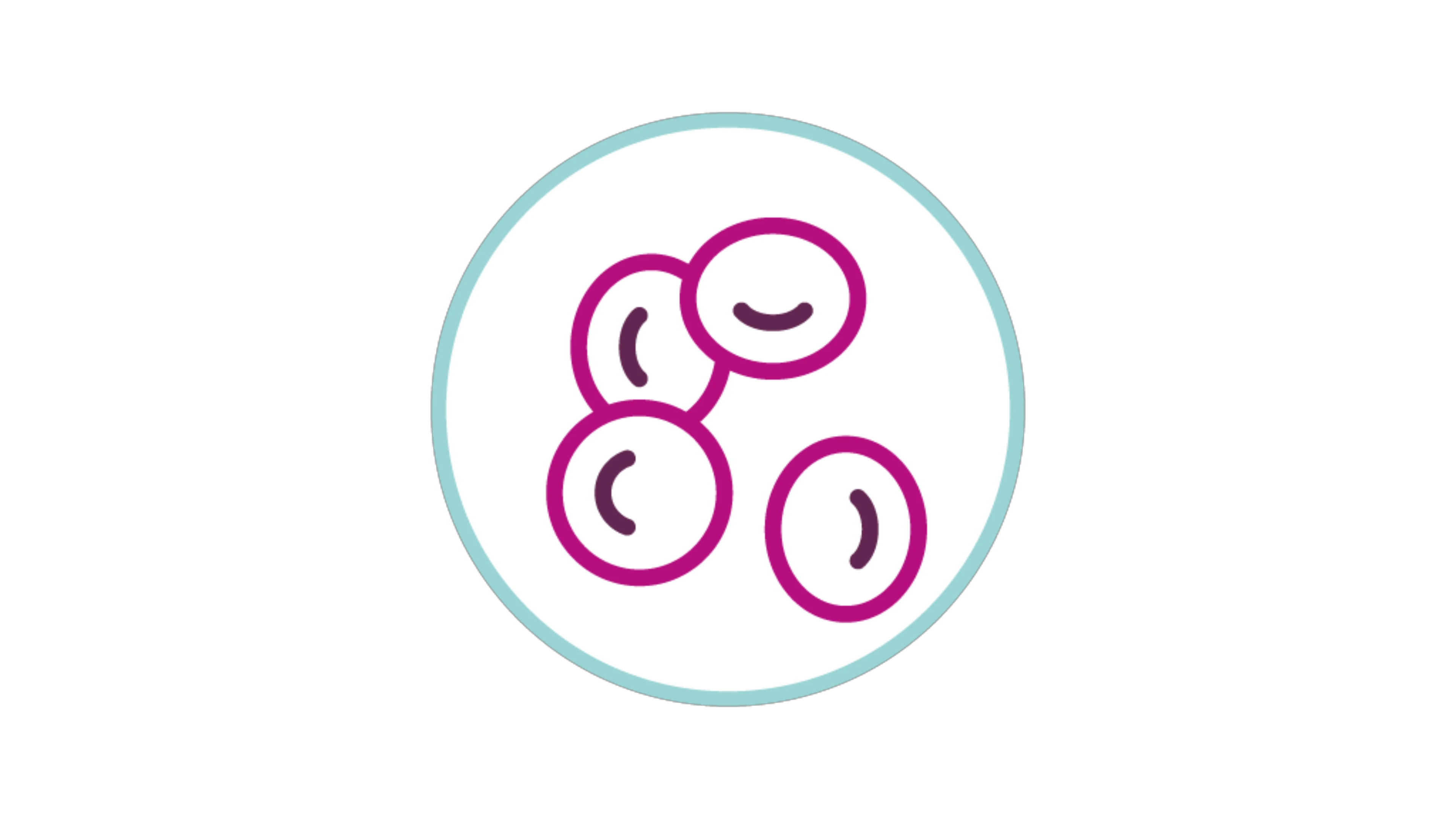 icone-thrombopenie