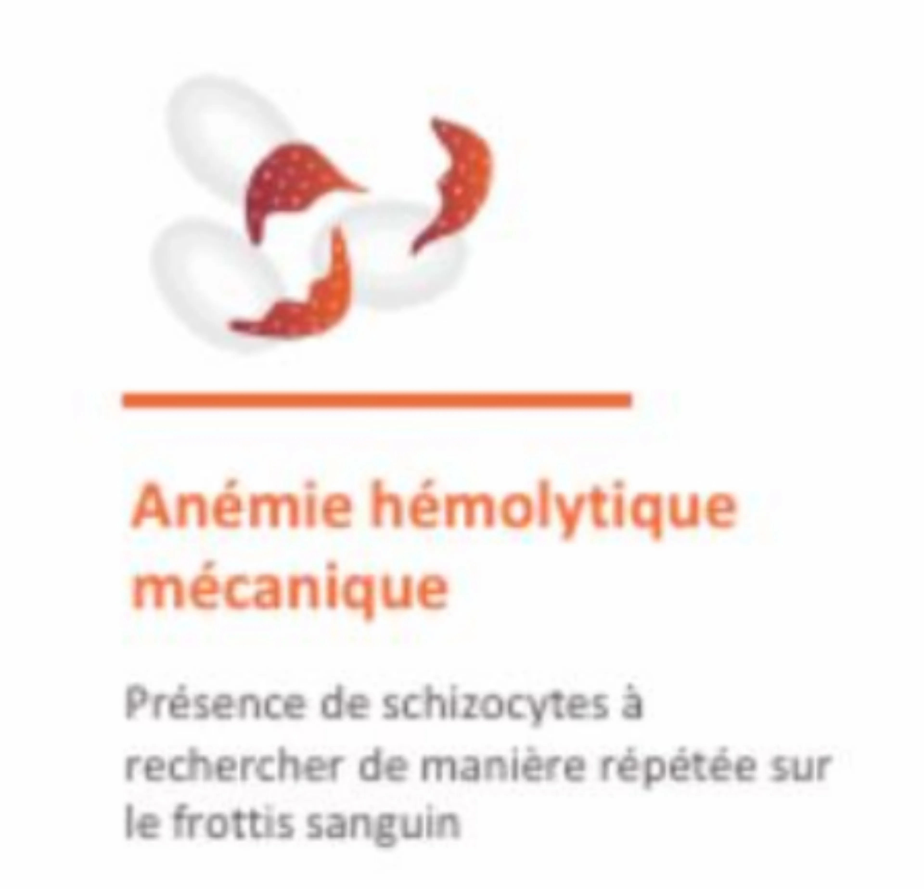 anemie-hemolytique-mecanique