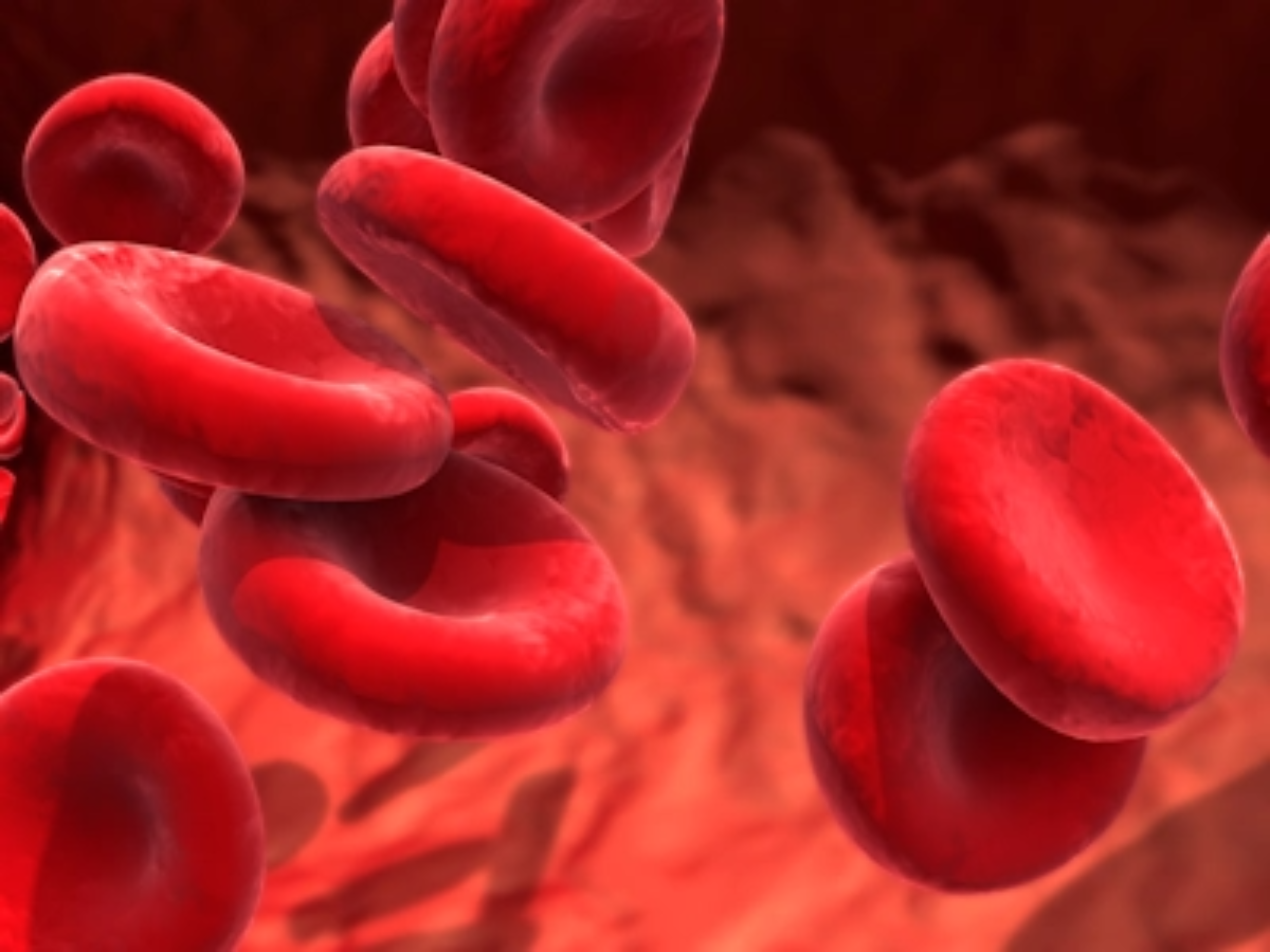 Erythrozyten zur Abbildung einer Untersuchung auf hämatologische Symptome von ASMD