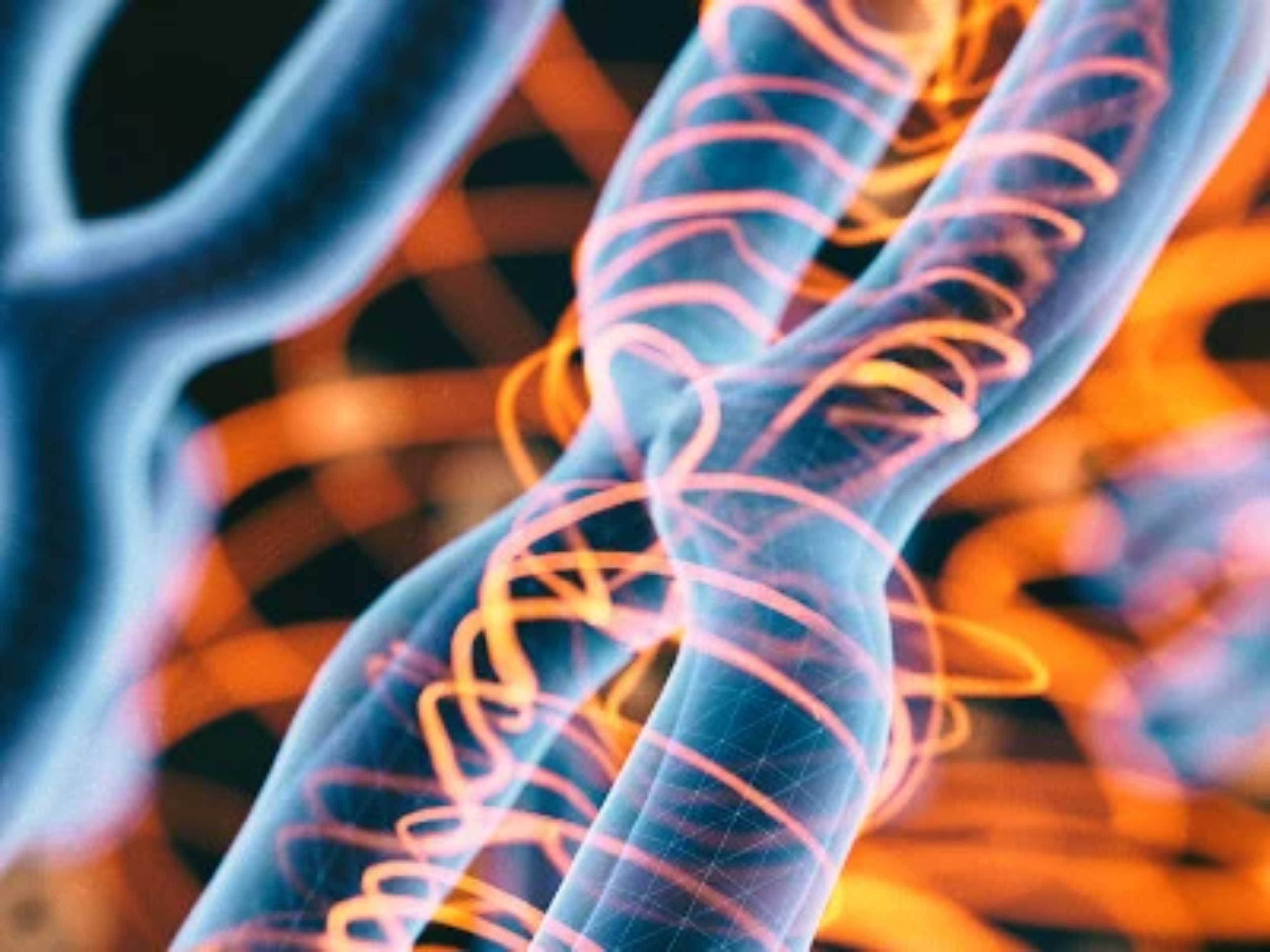Ein Foto von Chromosomen steht symbolisch für Morbus Gaucher