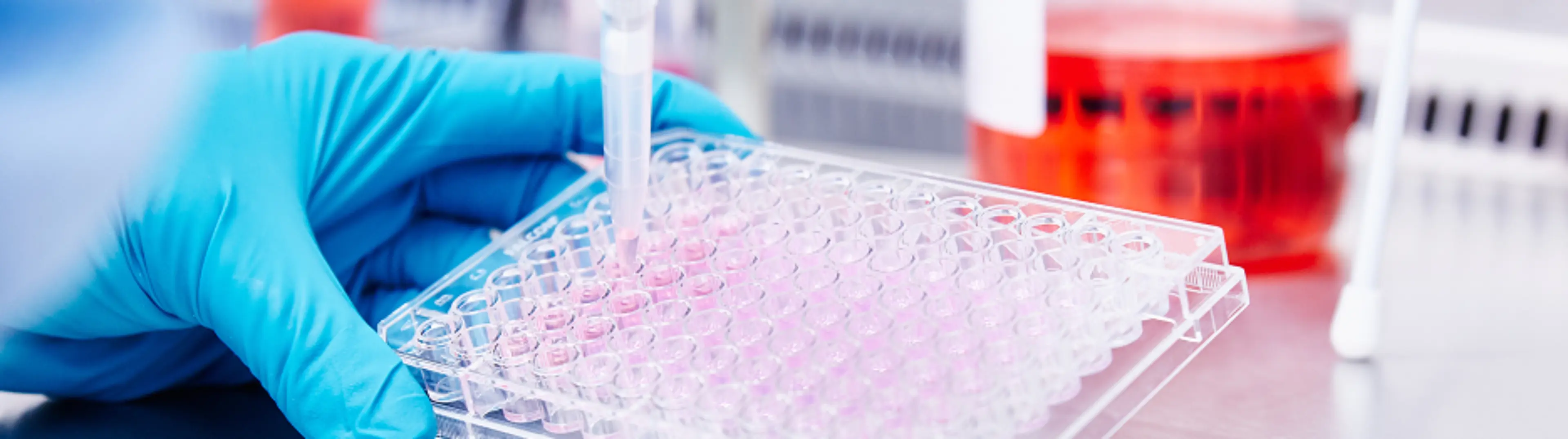 Vorbereitung von Proben für die durchflusszytometrische Analyse mit einem monoklonalen CD38-Antikörper