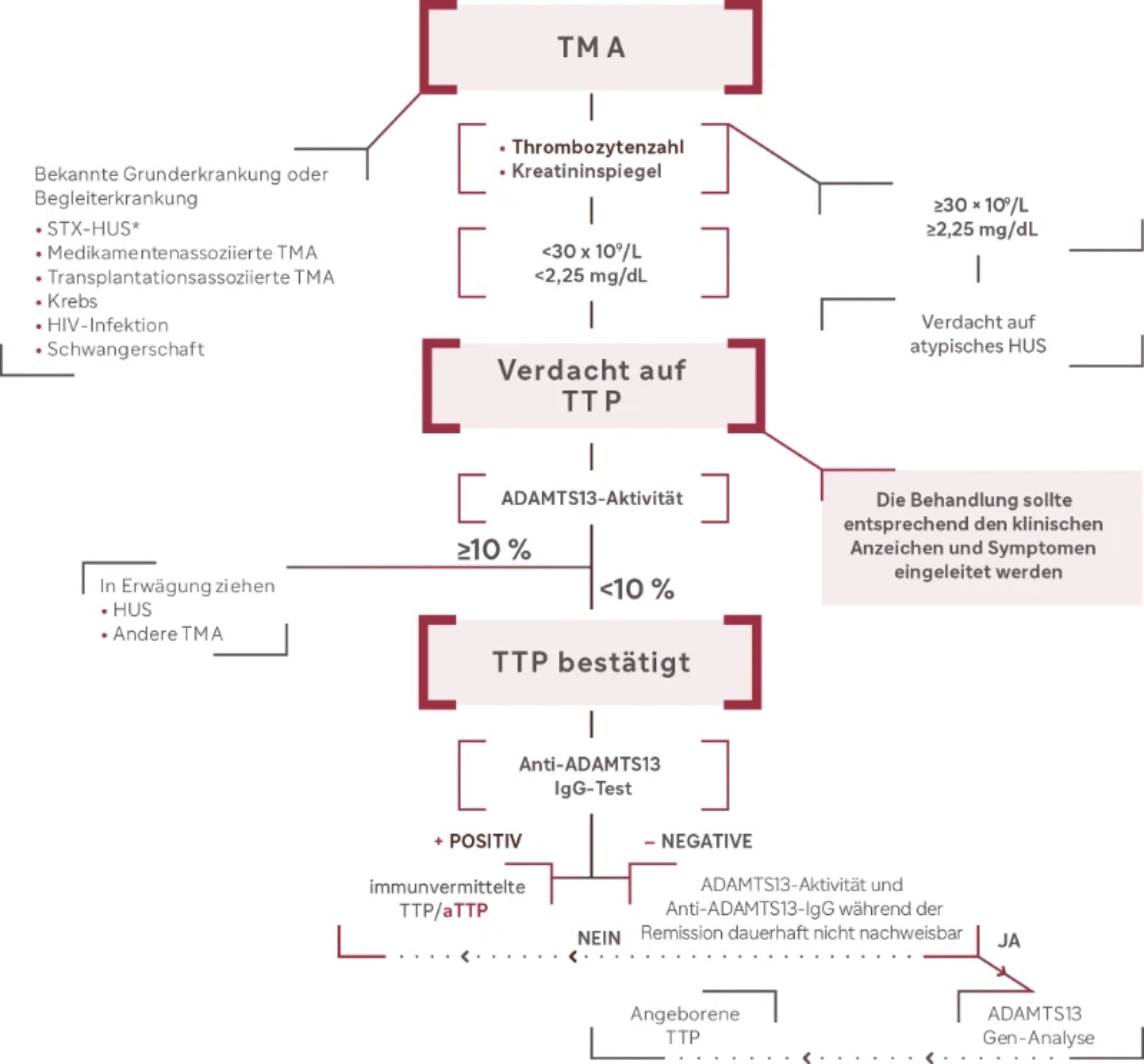Übersicht zu Vorgehen bei der Diagnostik von TTP