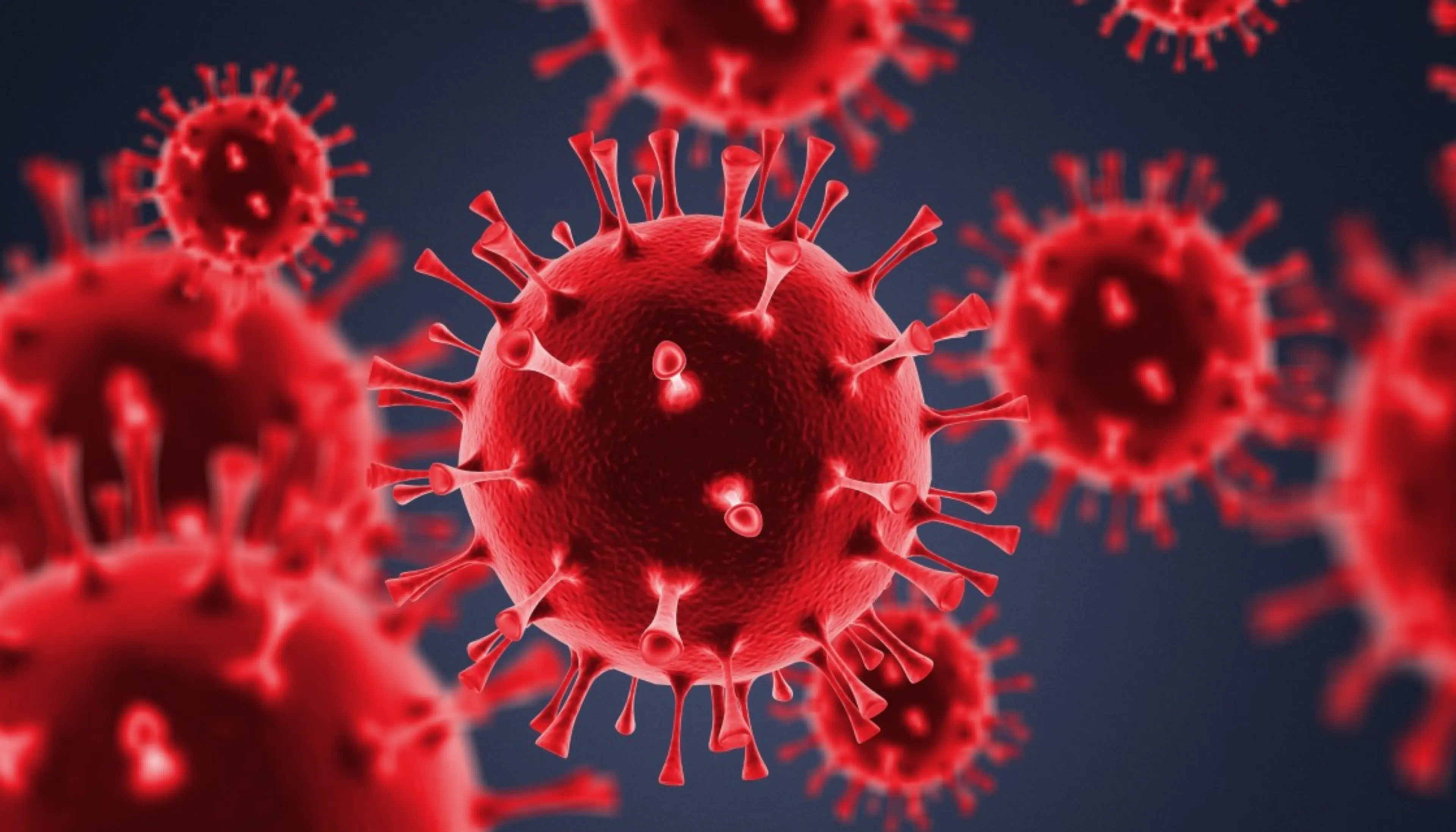 3-D Darstellung eines COVID-19 Virus