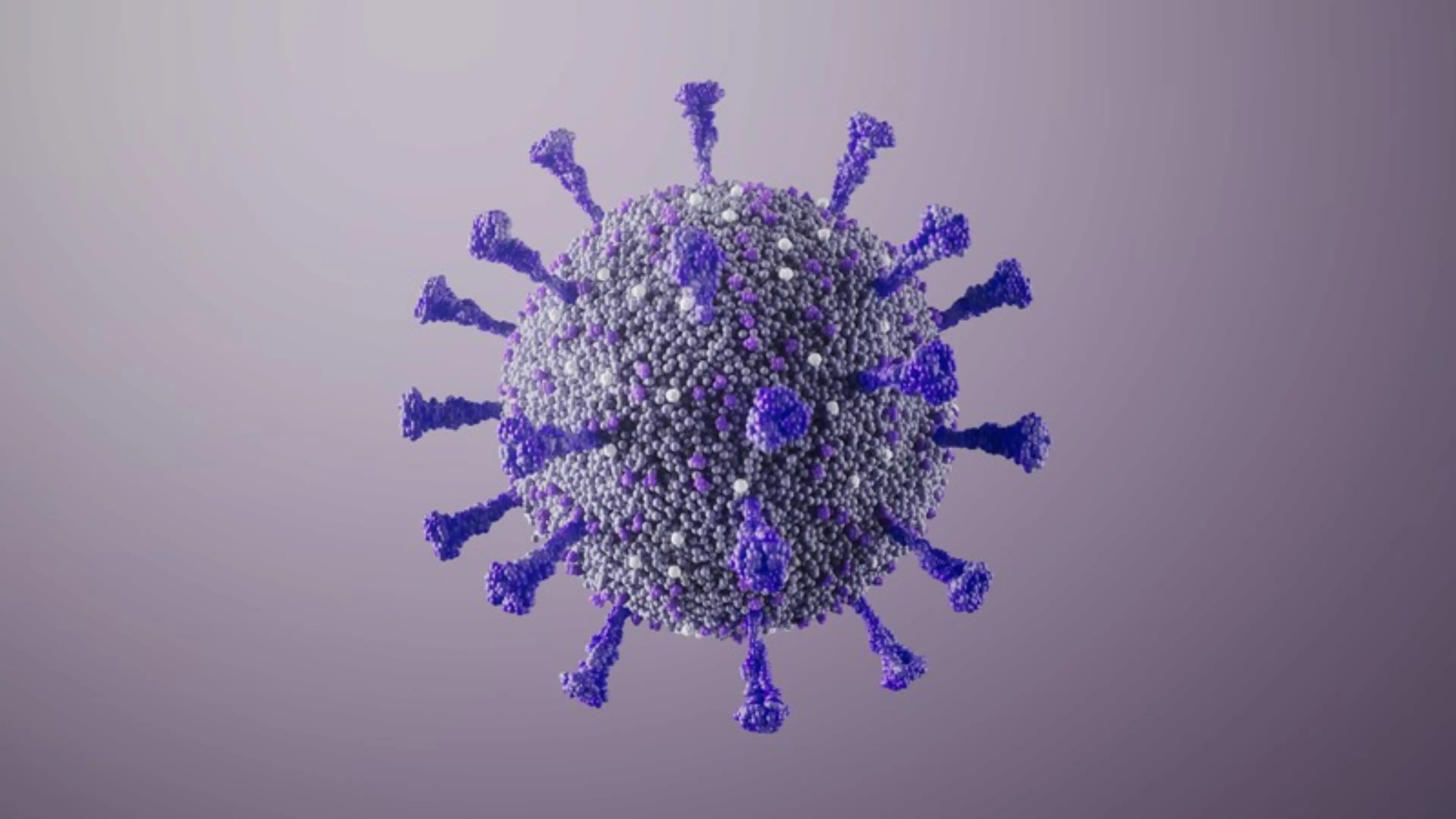 Wissenschaftliche 3D-Darstellung eines COVID-Virus