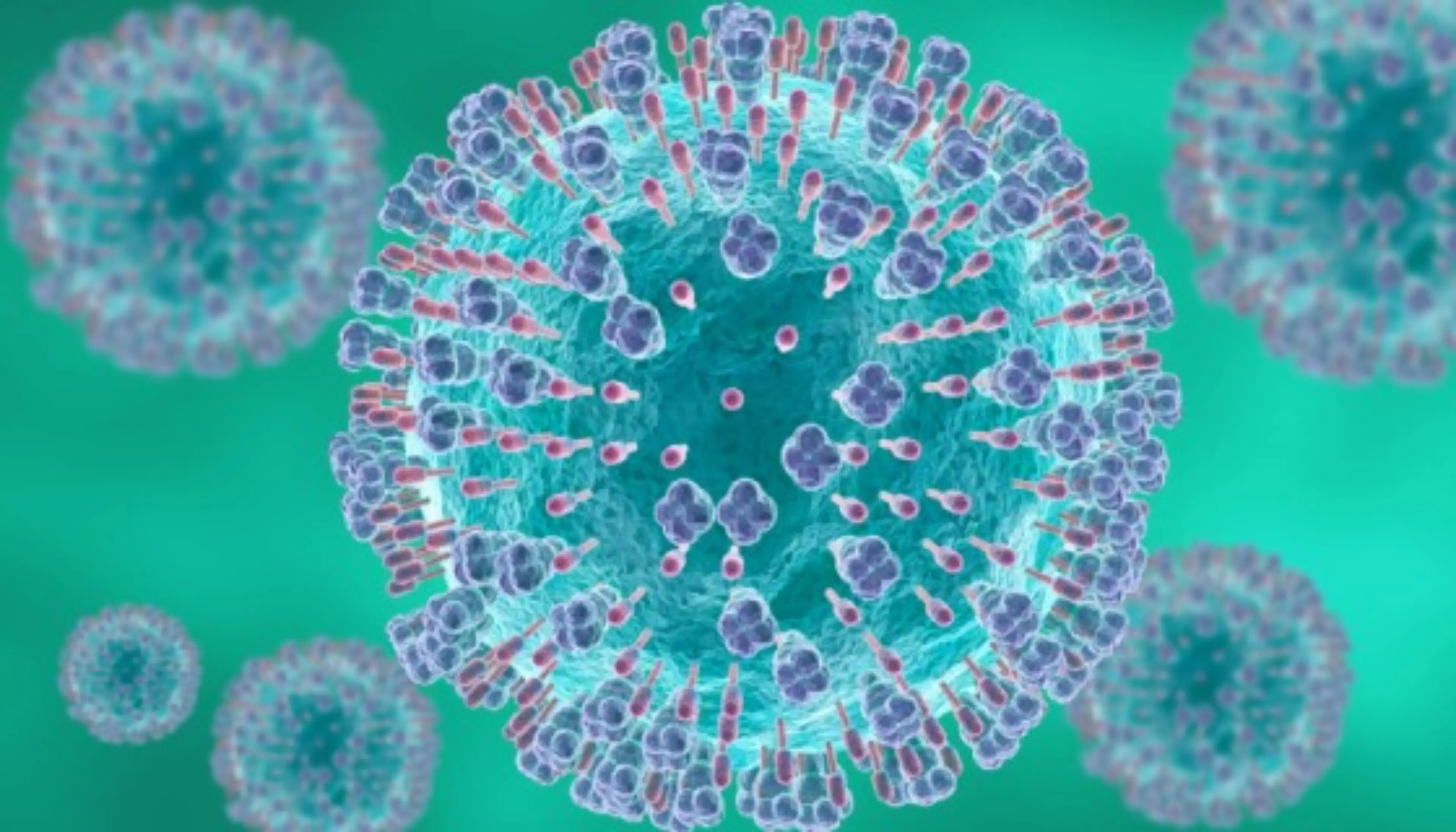 Wissenschaftliche 3D Illustration eines Virus (RSV)