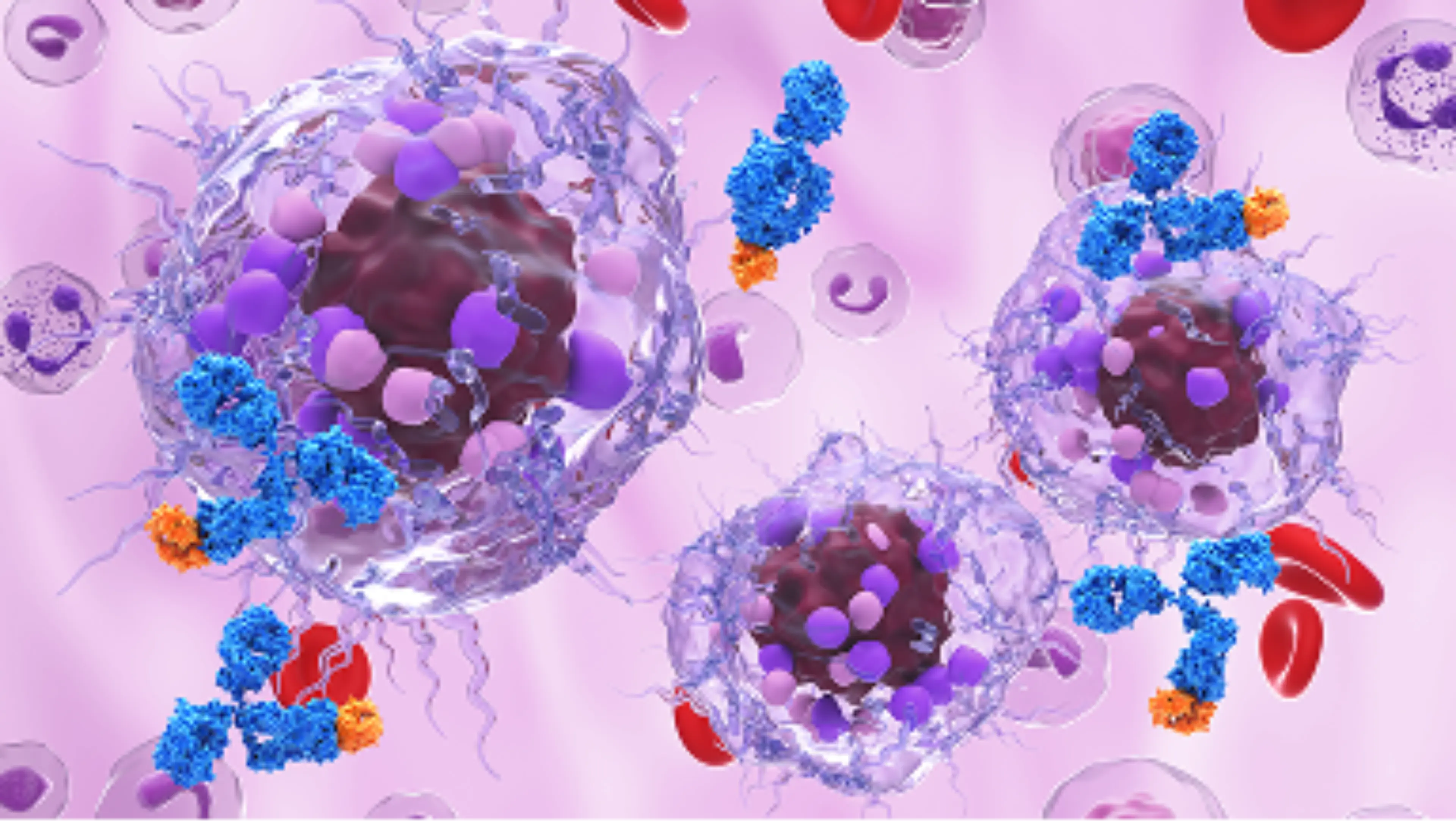 Künstlerische Darstellung einer Myelomzelle