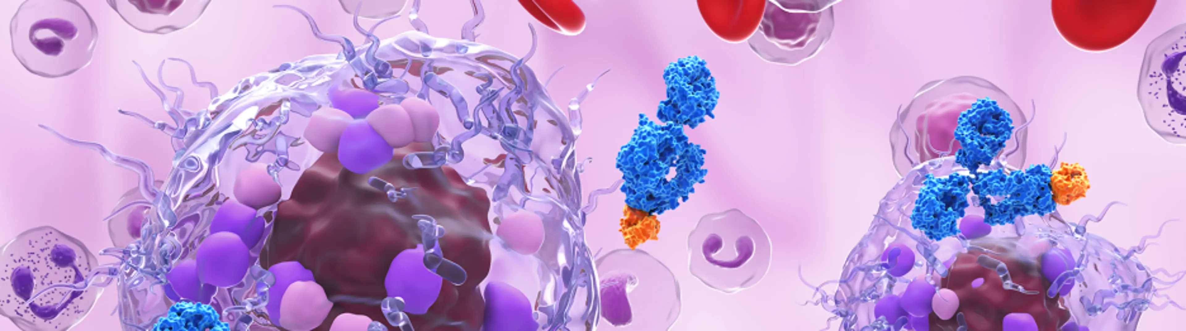 Künstlerische Darstellung einer Myelomzelle