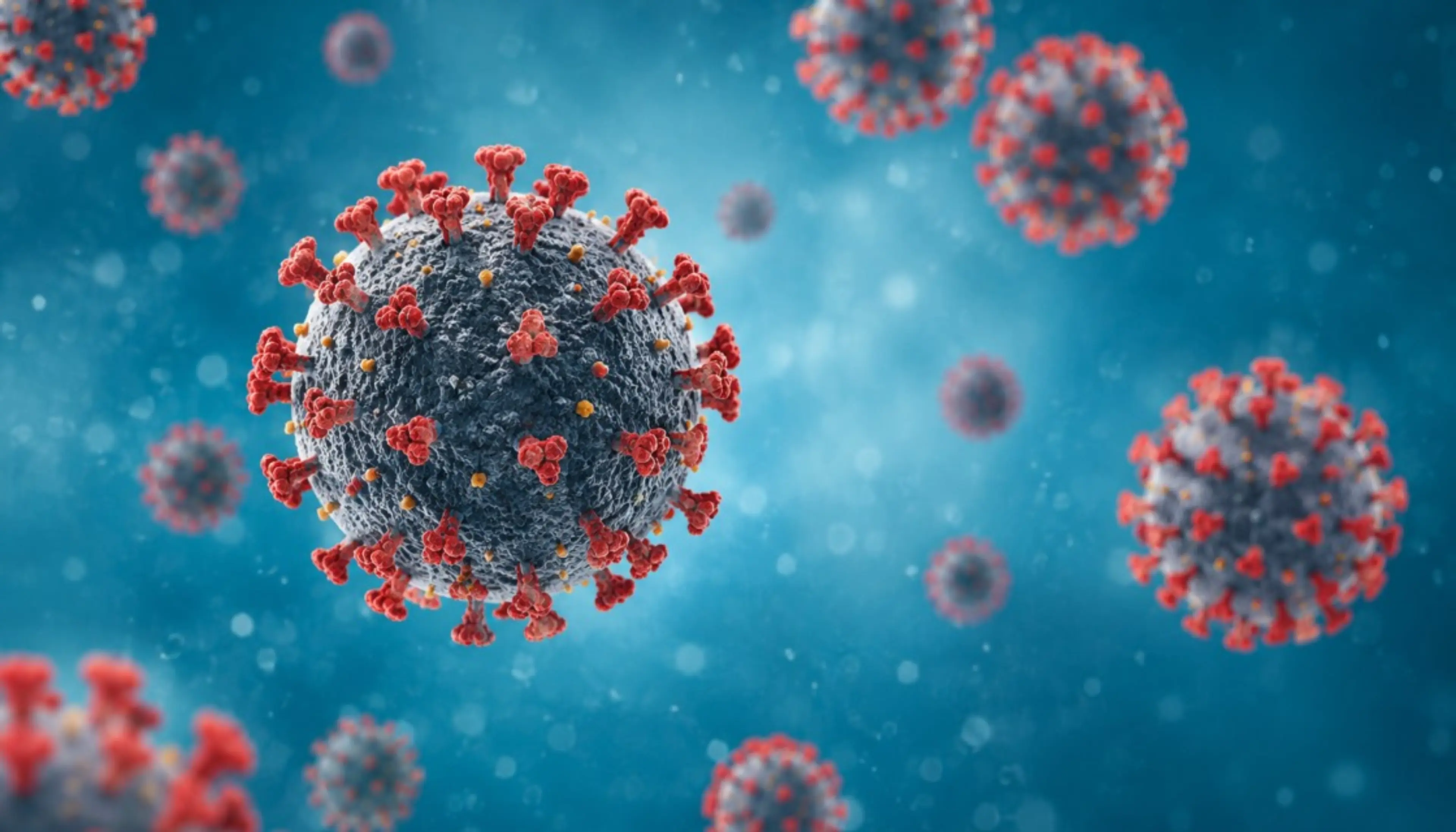 3D-Darstellung eines COVID-19-Virus