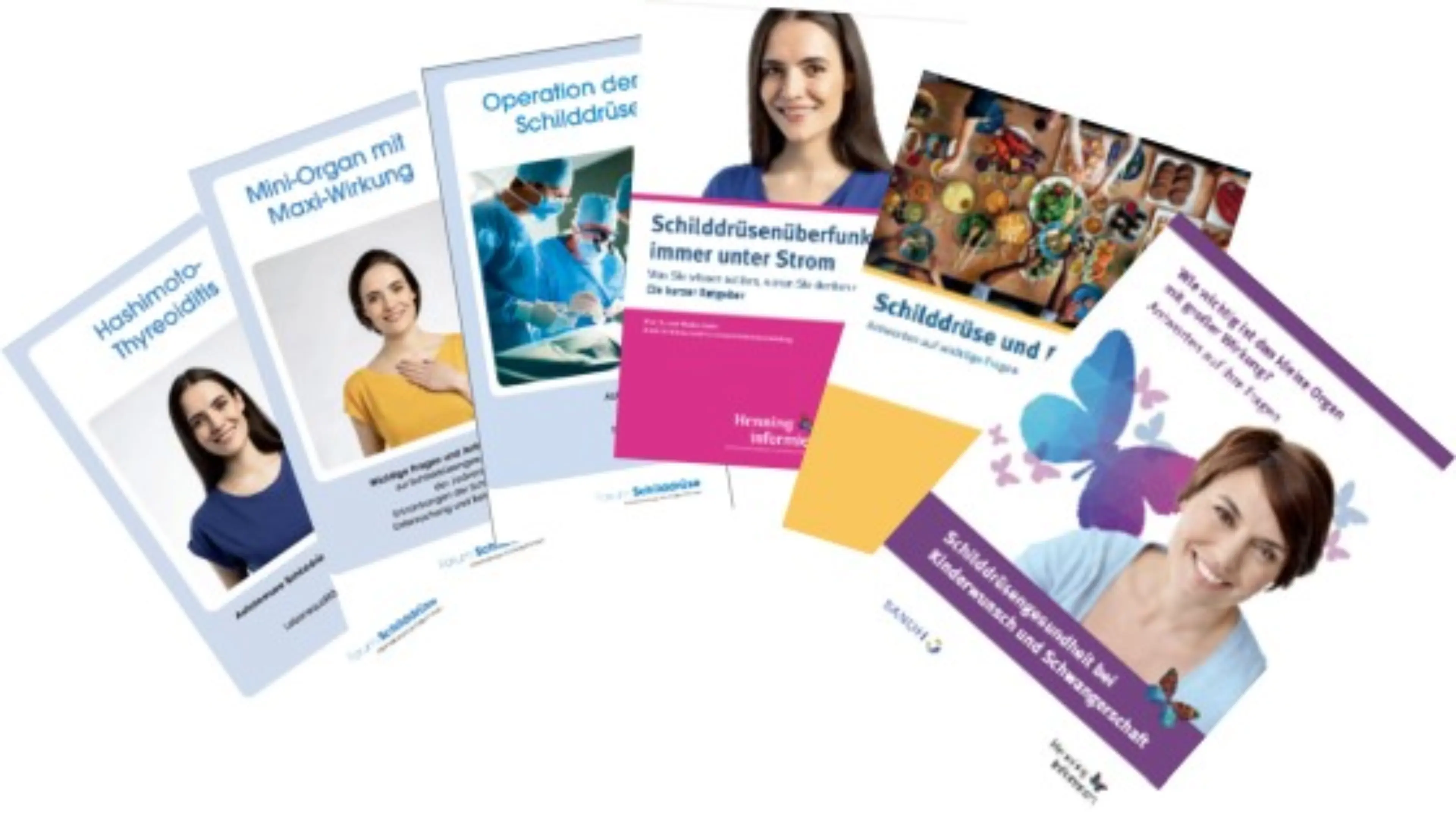 Titelseiten mehrerer Broschüren, die fächerförmig angeordnet sind.