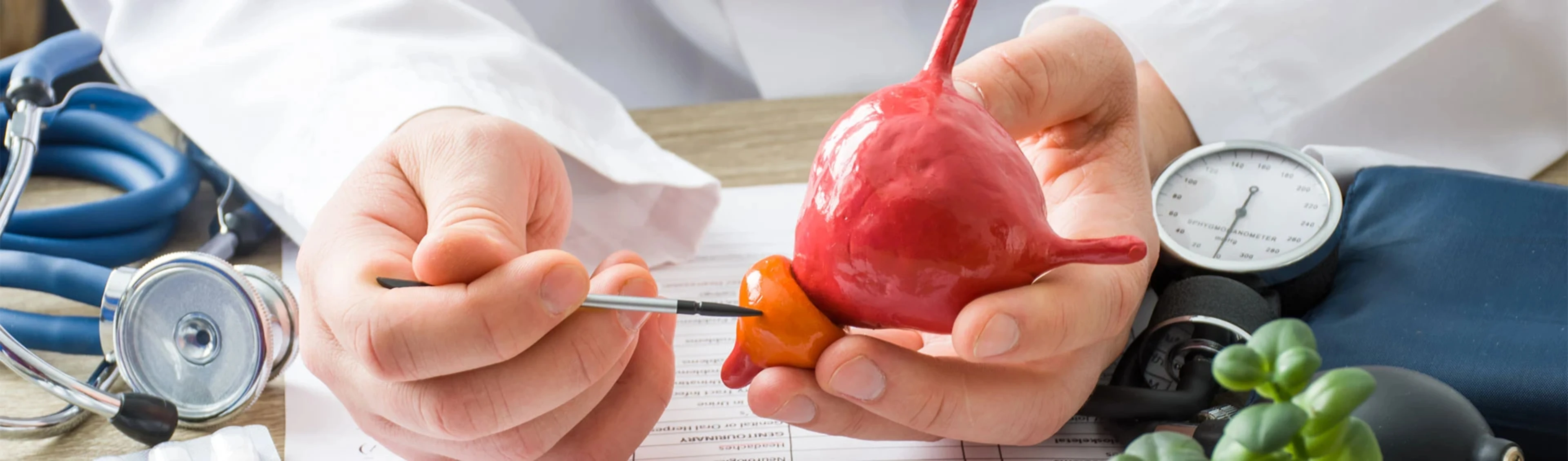 La-preservazione-delle-funzione-sessuale_1920x565