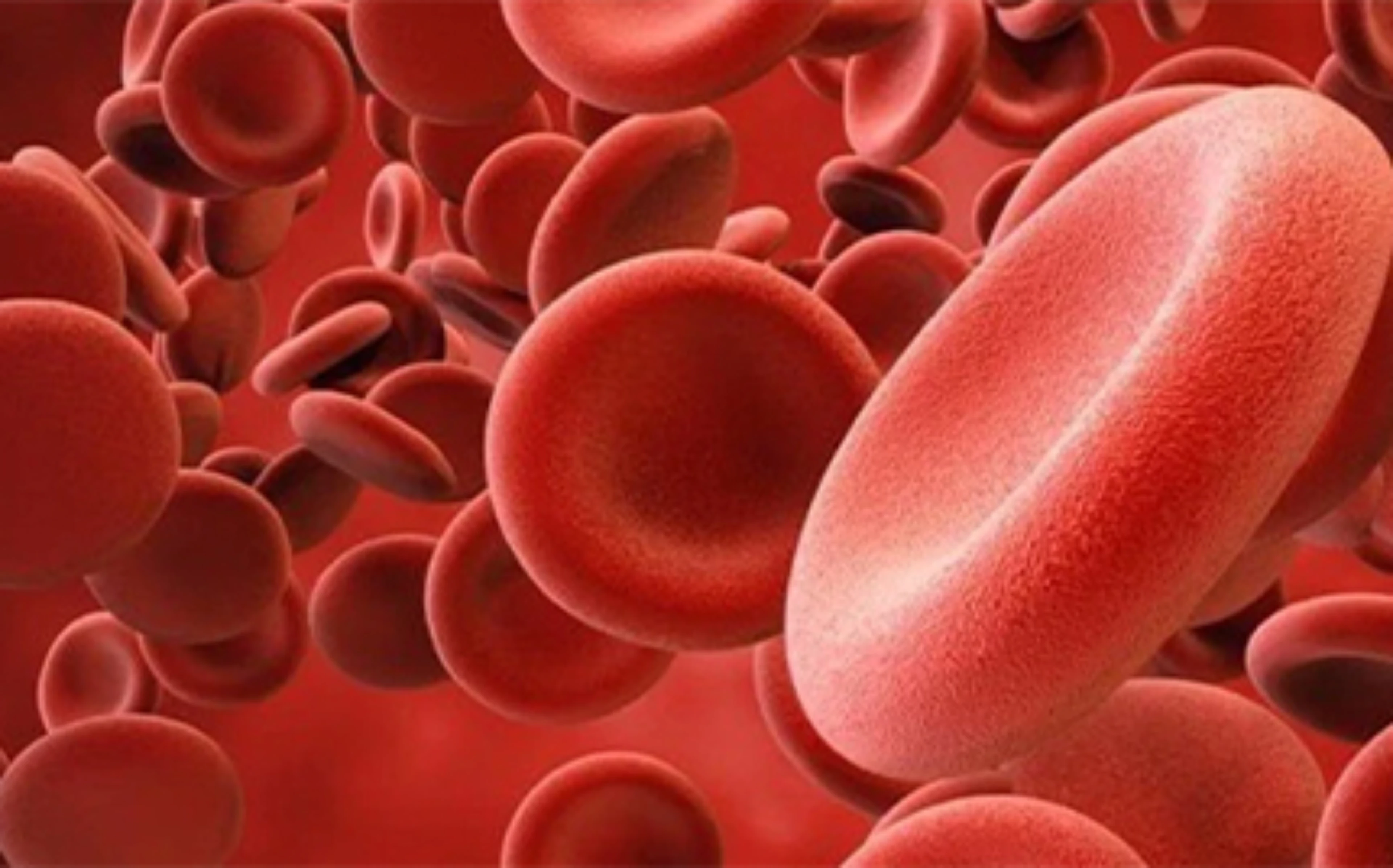 blood_cell_430x268