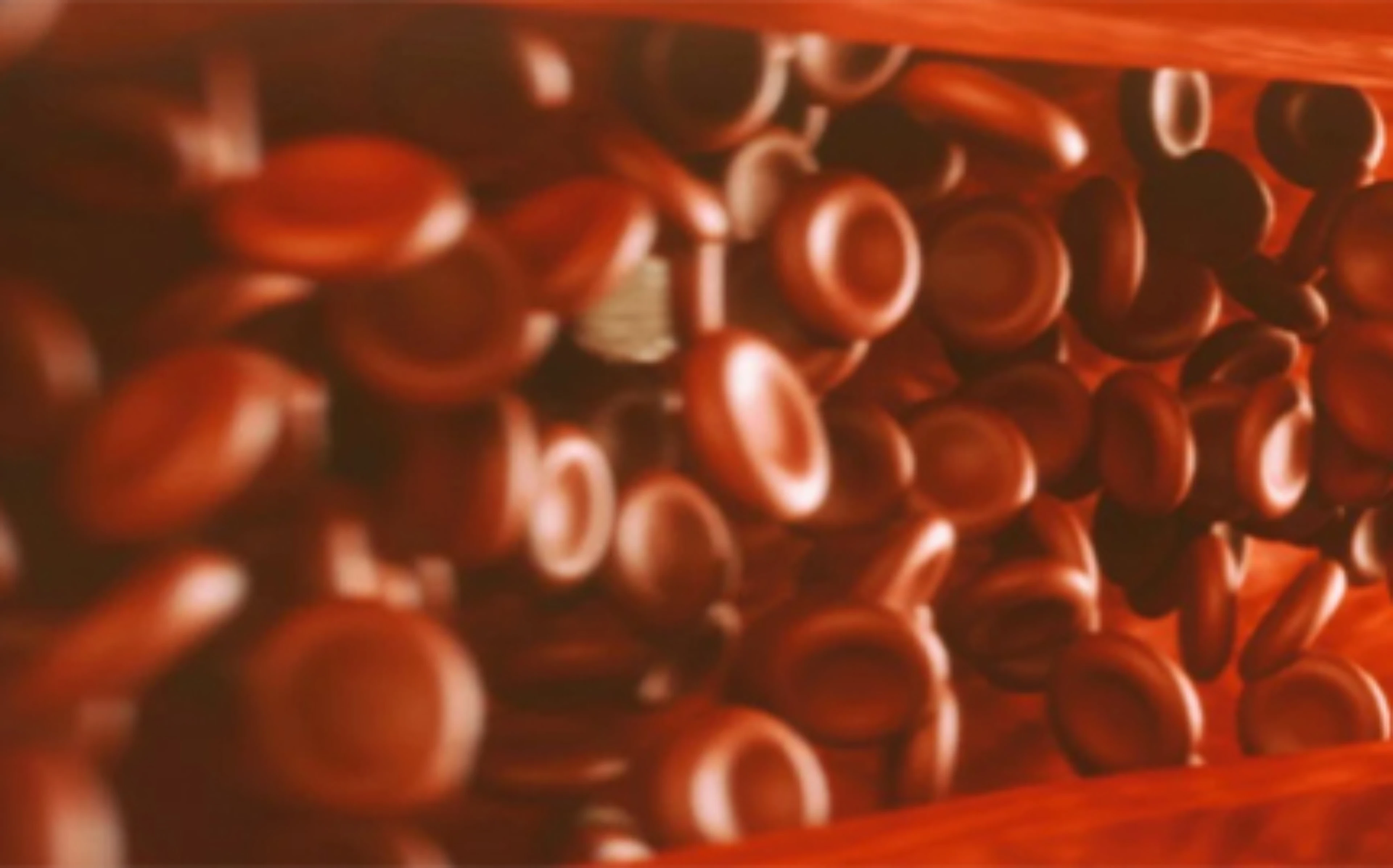 athe banner1 (18)_430x268