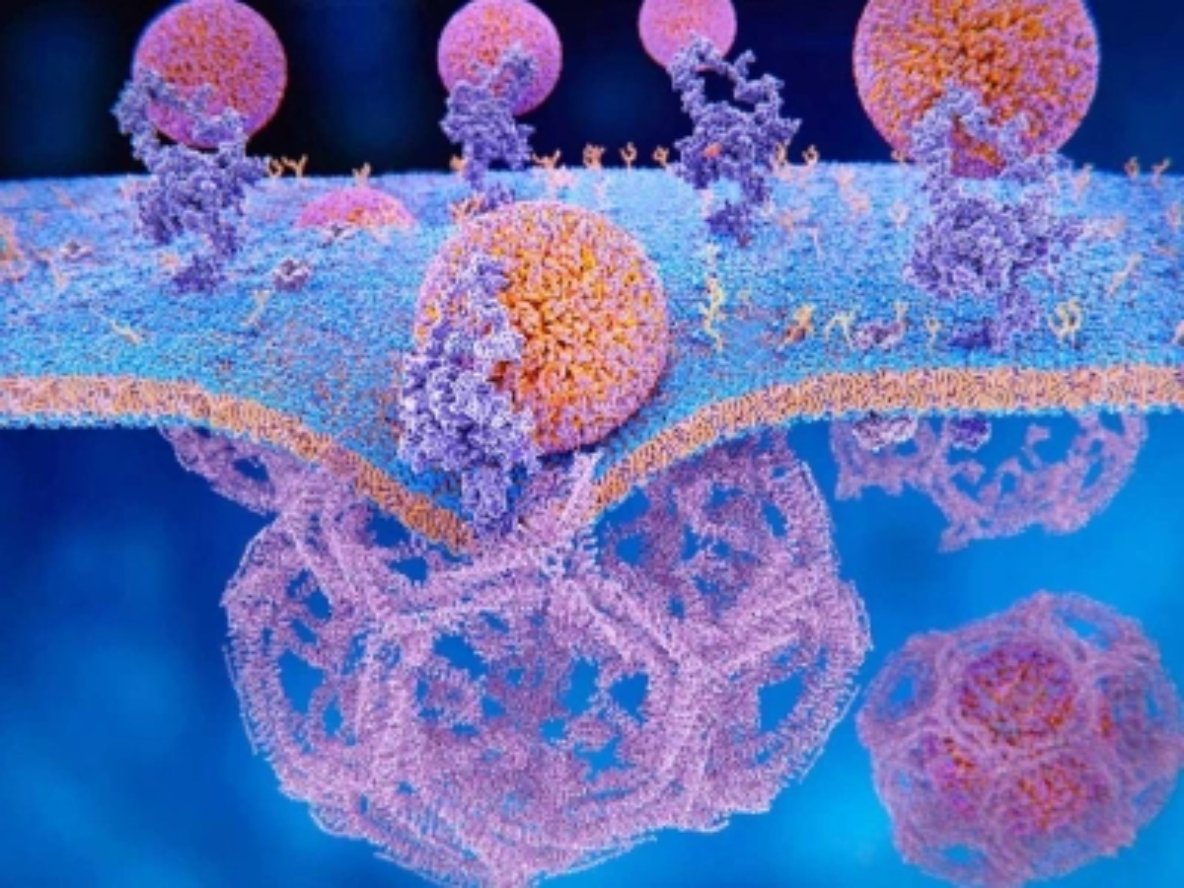 thumbnail-rosuvastatina-ezetimiba-hipercolesterolemia