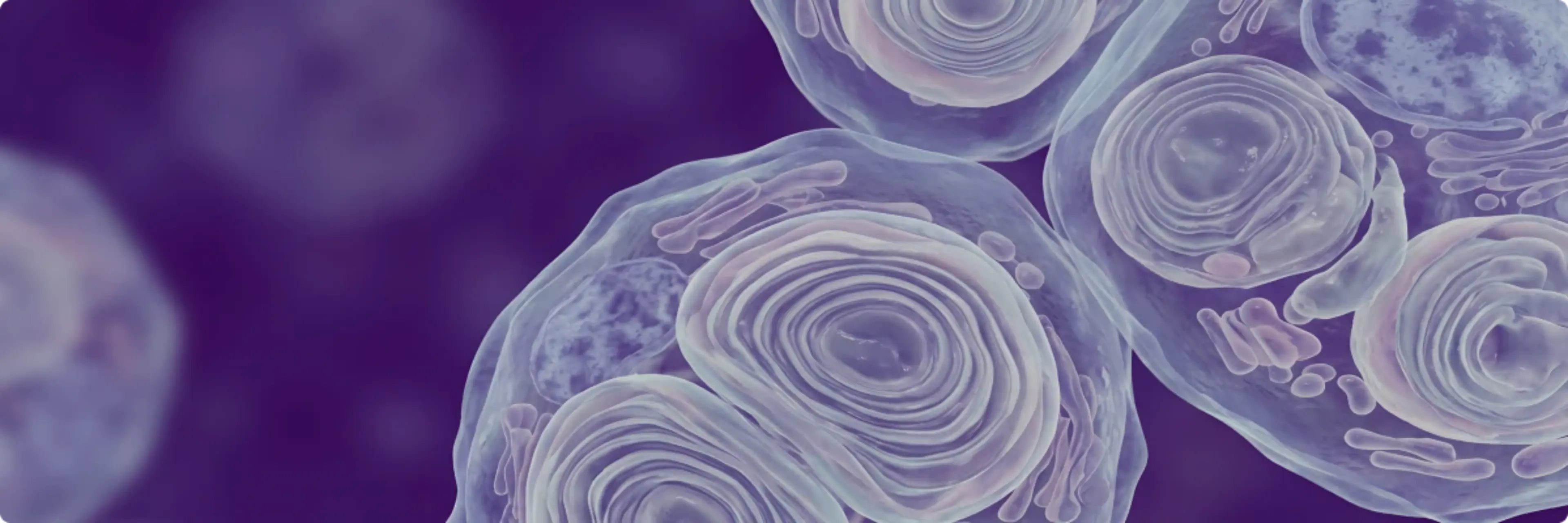 banner liso-gb3 biomarcador