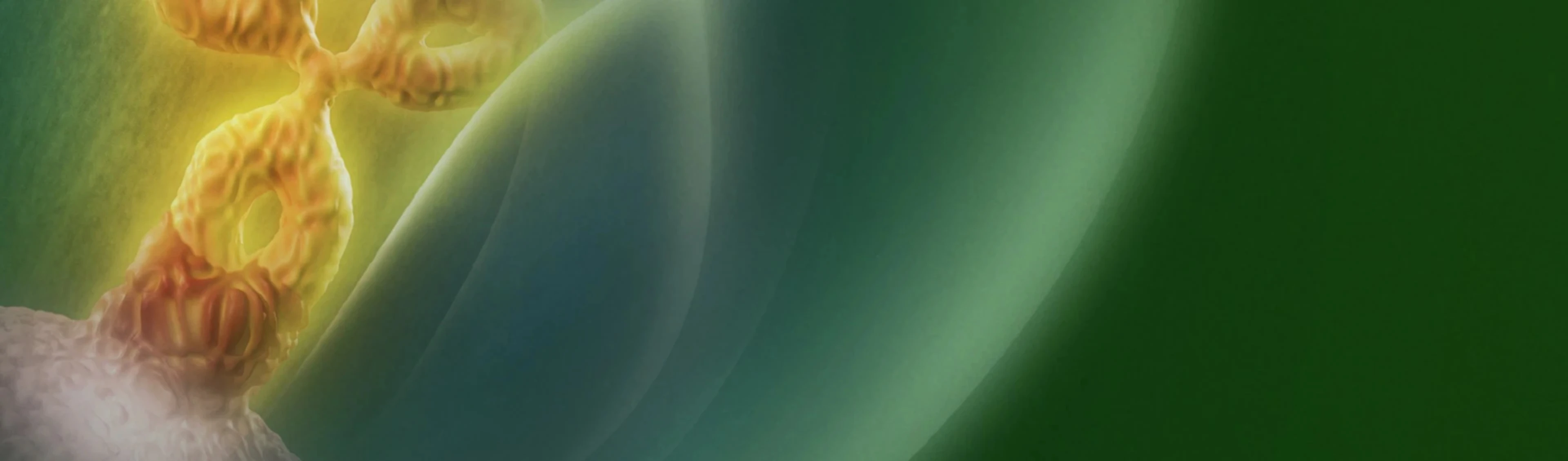 mieloma-multiple-refractariedad