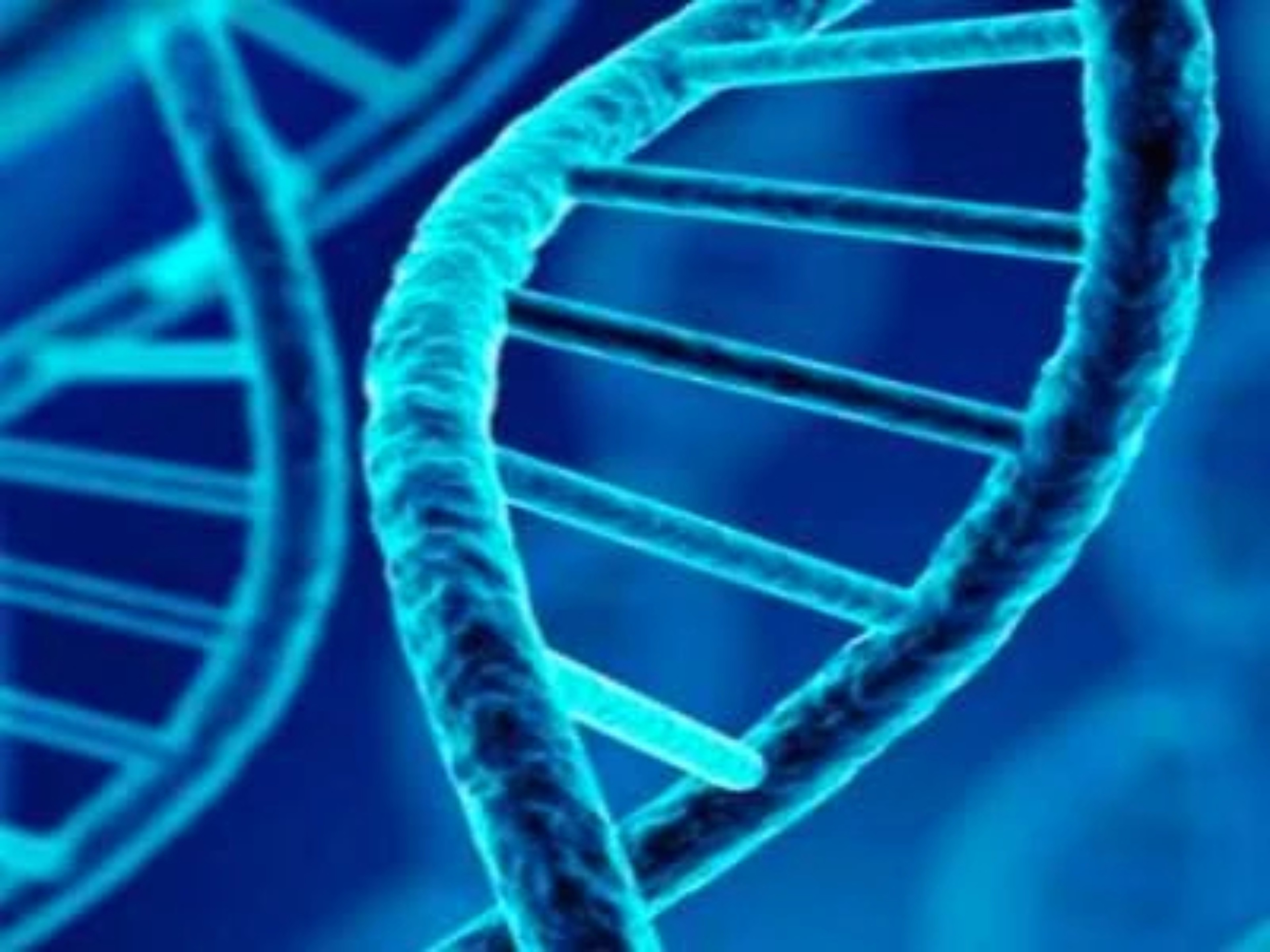 Un estudio revela la diversidad de cambios genéticos que causan la enfermedad renal poliquística