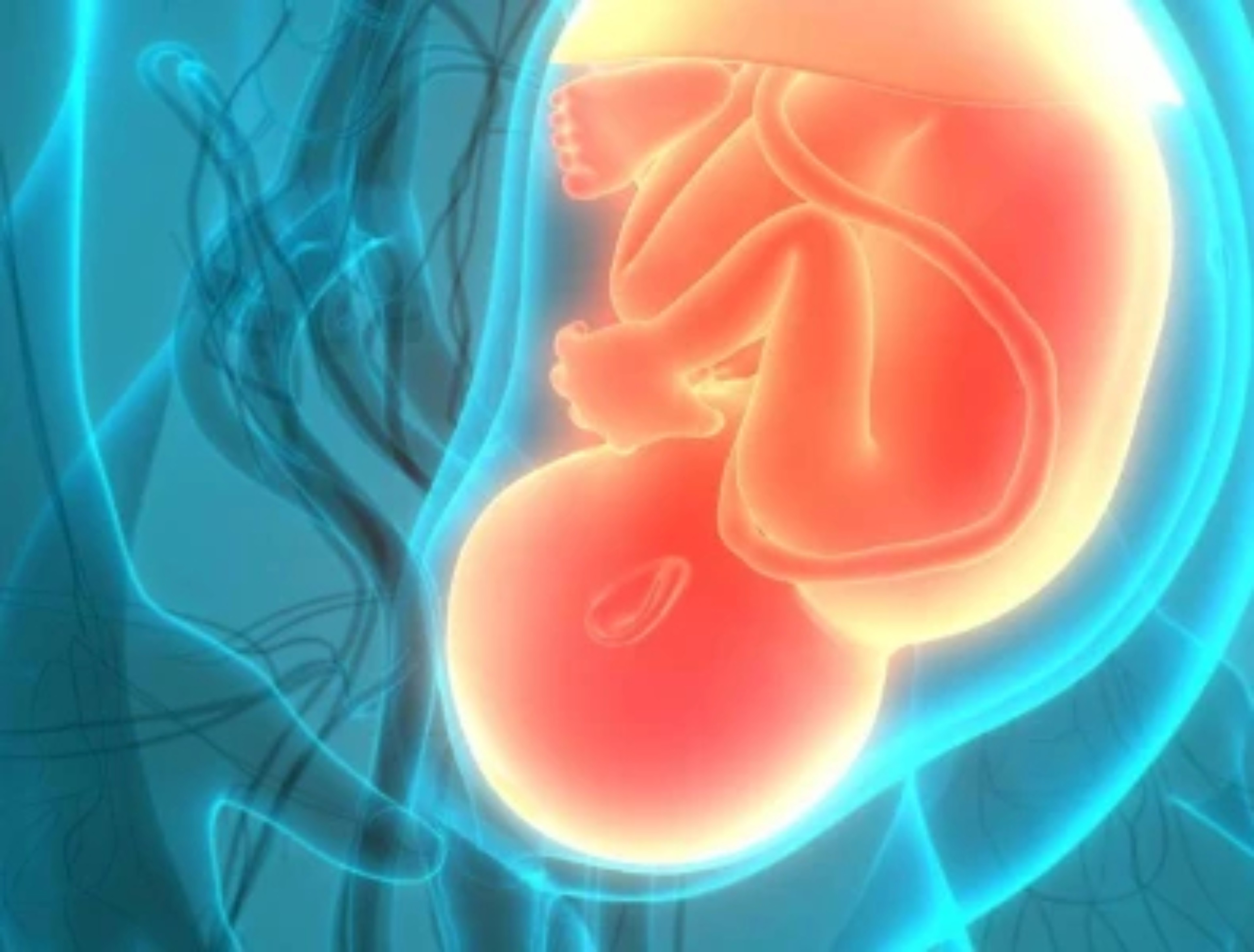 preeclampsia-embarazo-sustancias-quimicas