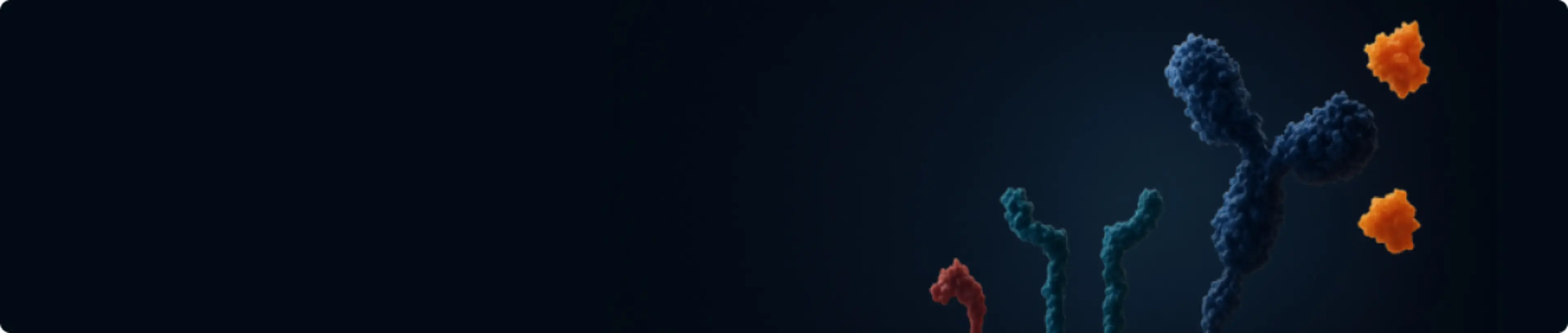 banner polimialgia
