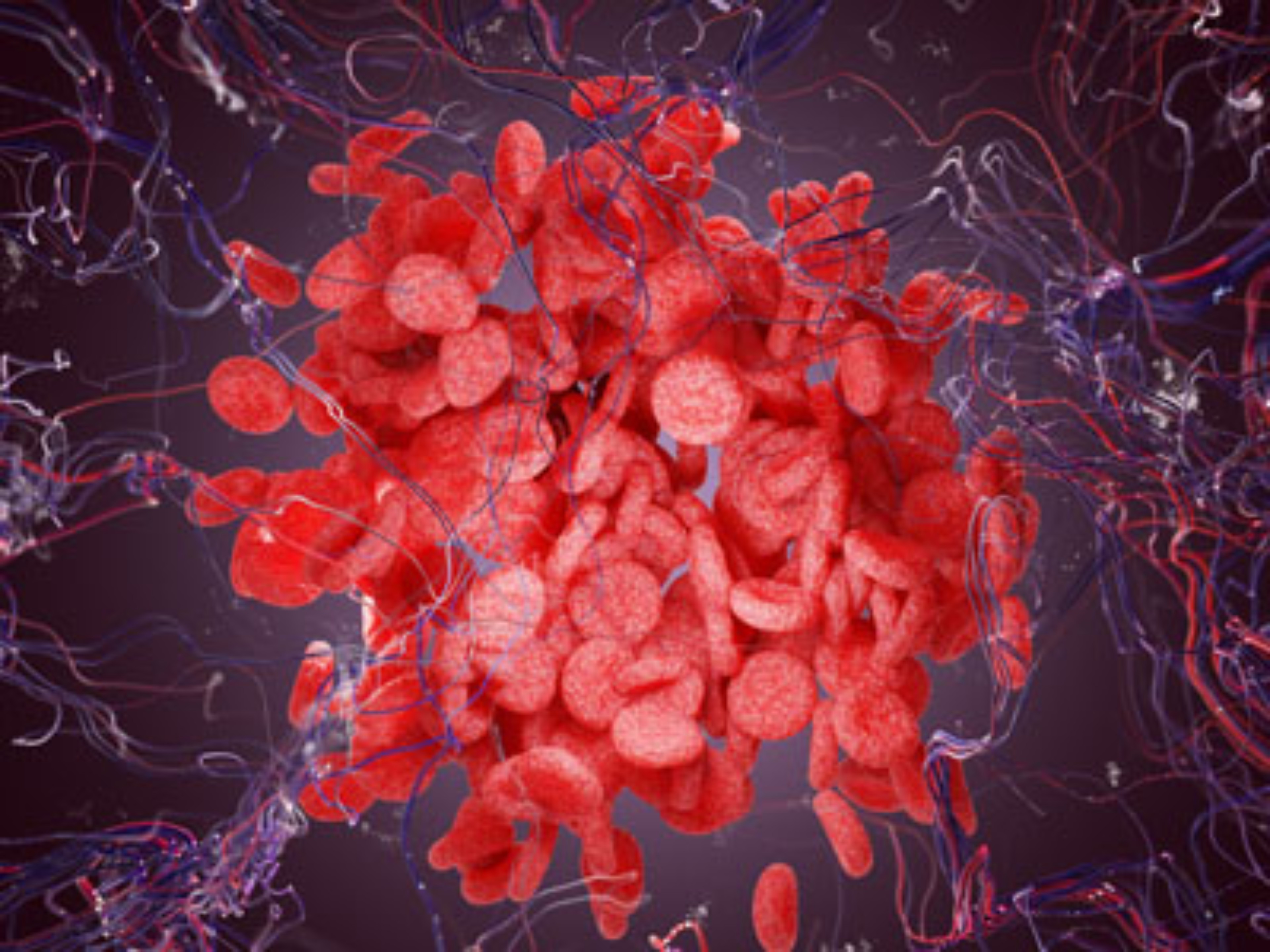 cual-es-el-mejor-donante-de-progenitores-hematopoyeticos-th