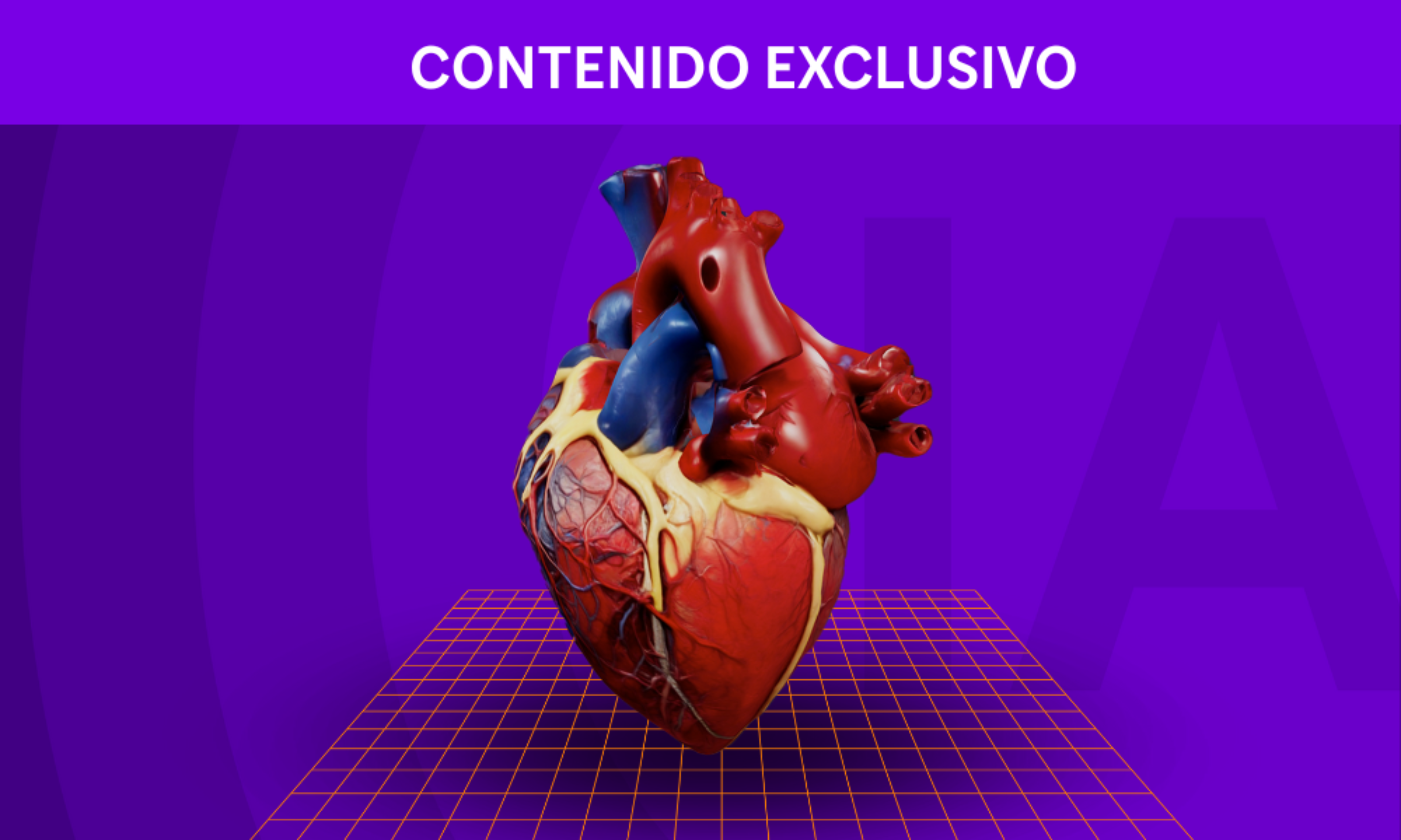 uc6-modelos-anatomicos-card