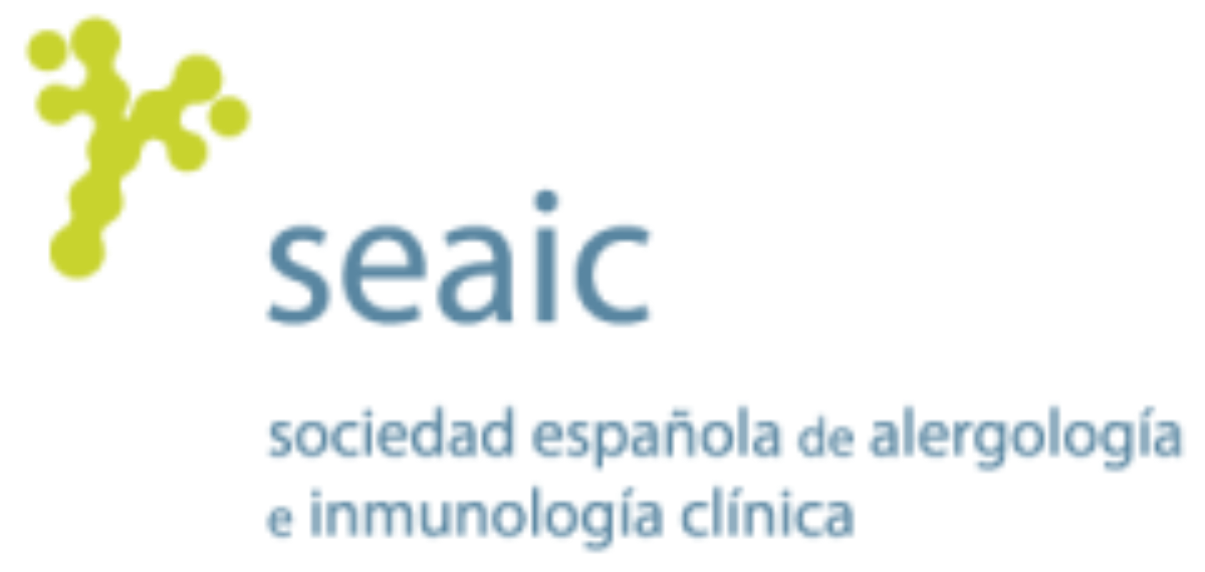 seaic-logo
