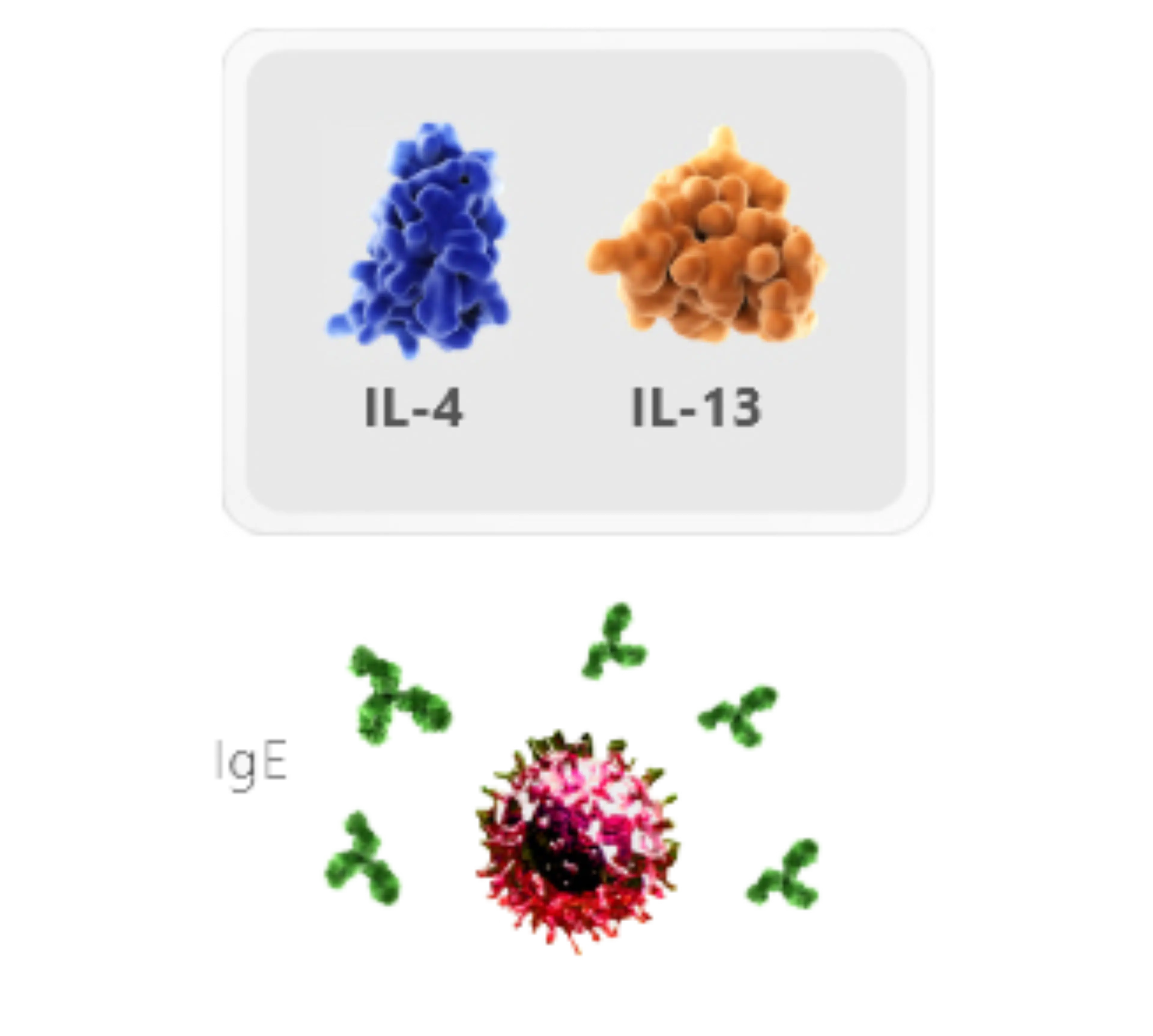 rsc-descubre-card-01