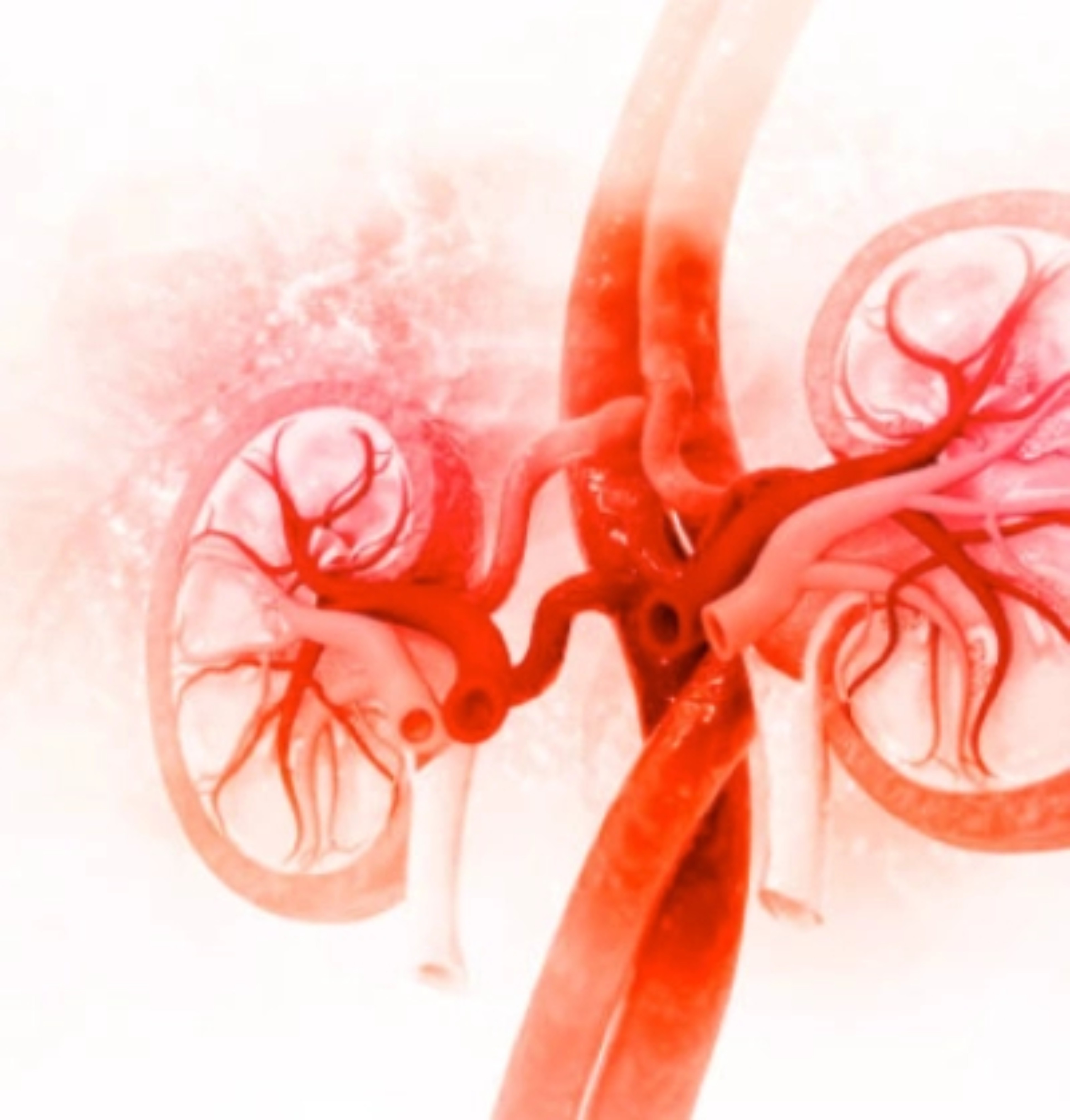 timoglobulina-trasplante-renal