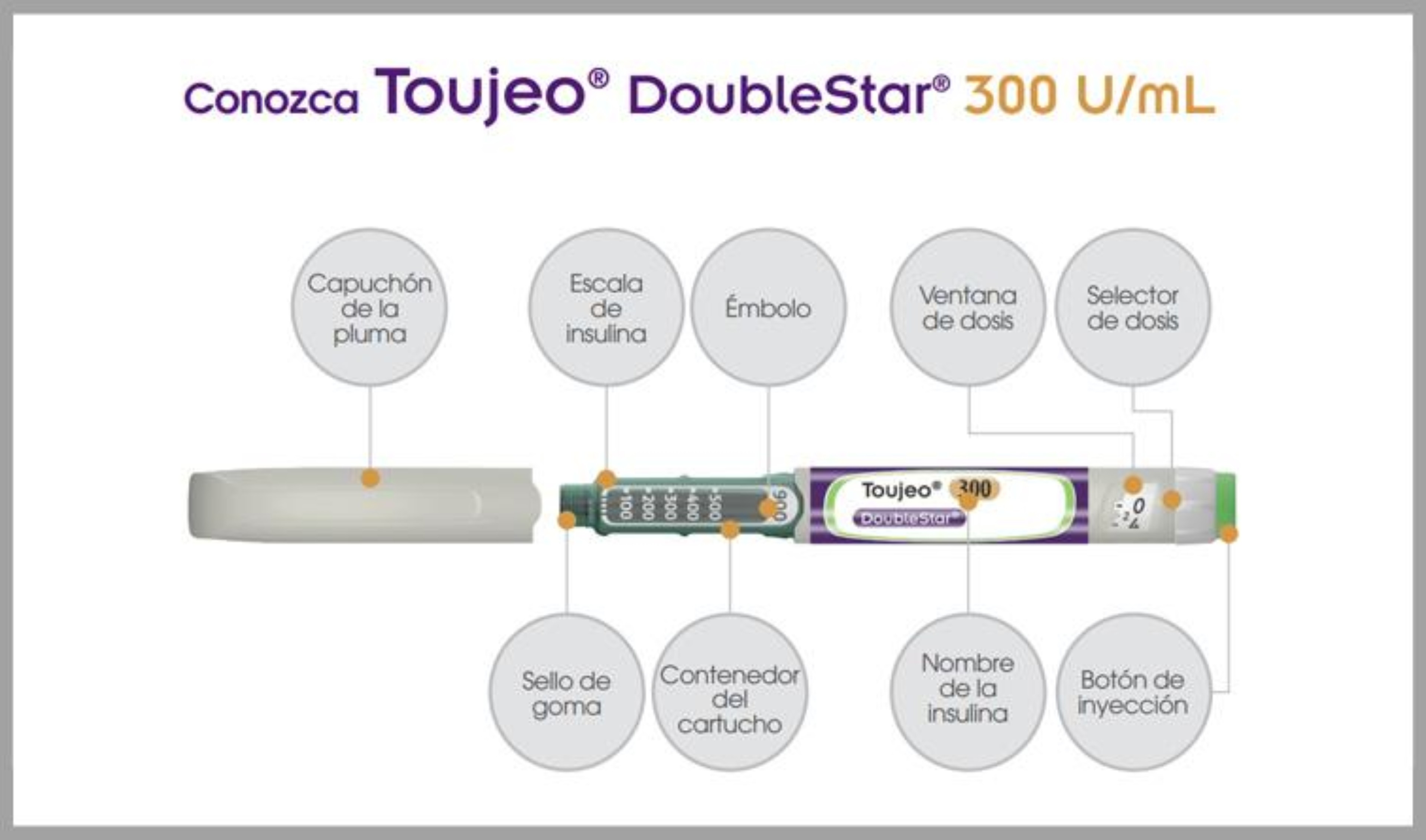 Guía de uso de Toujeo® DoubleStar®