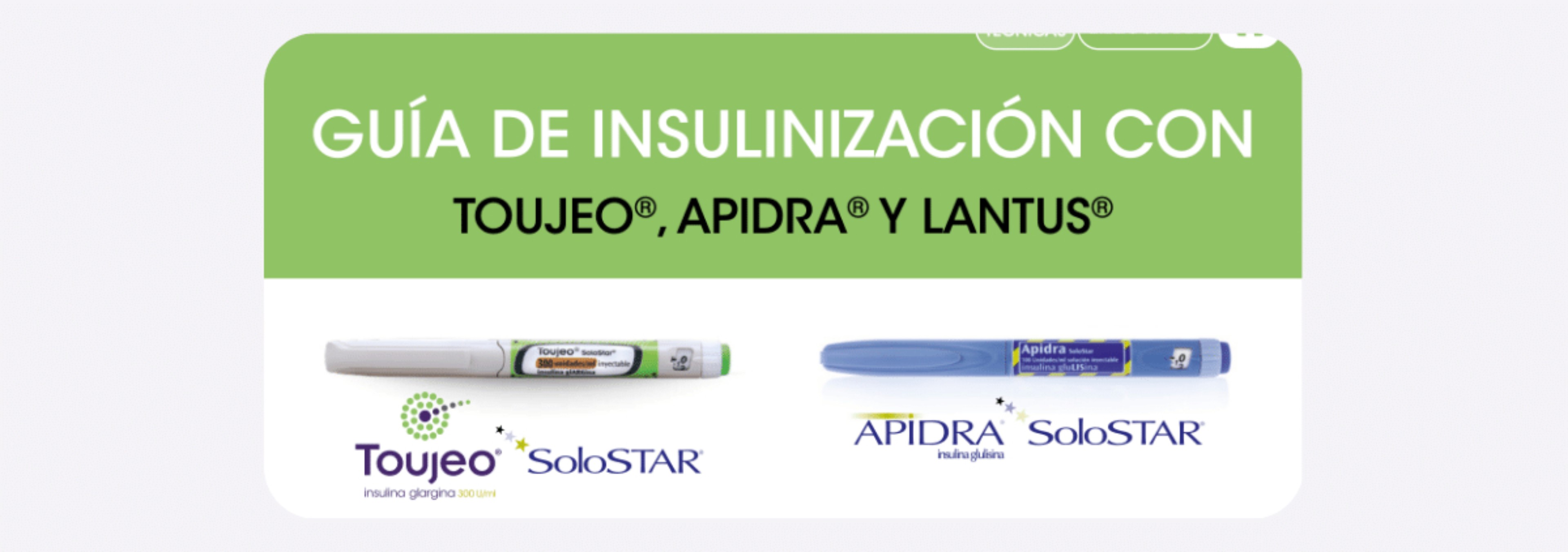 Guía de Insulinización