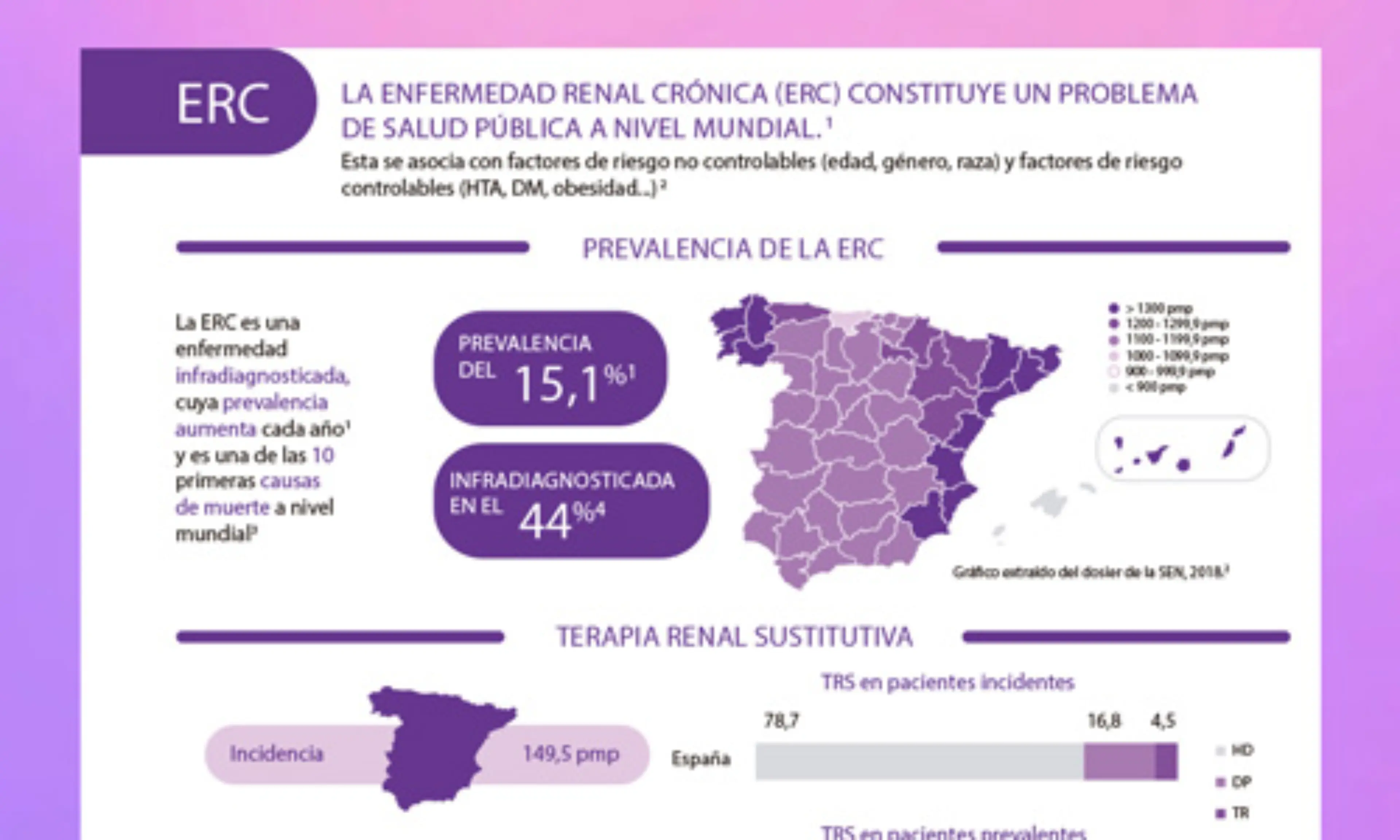 Impacto del trasplante renal en pacientes con ERC