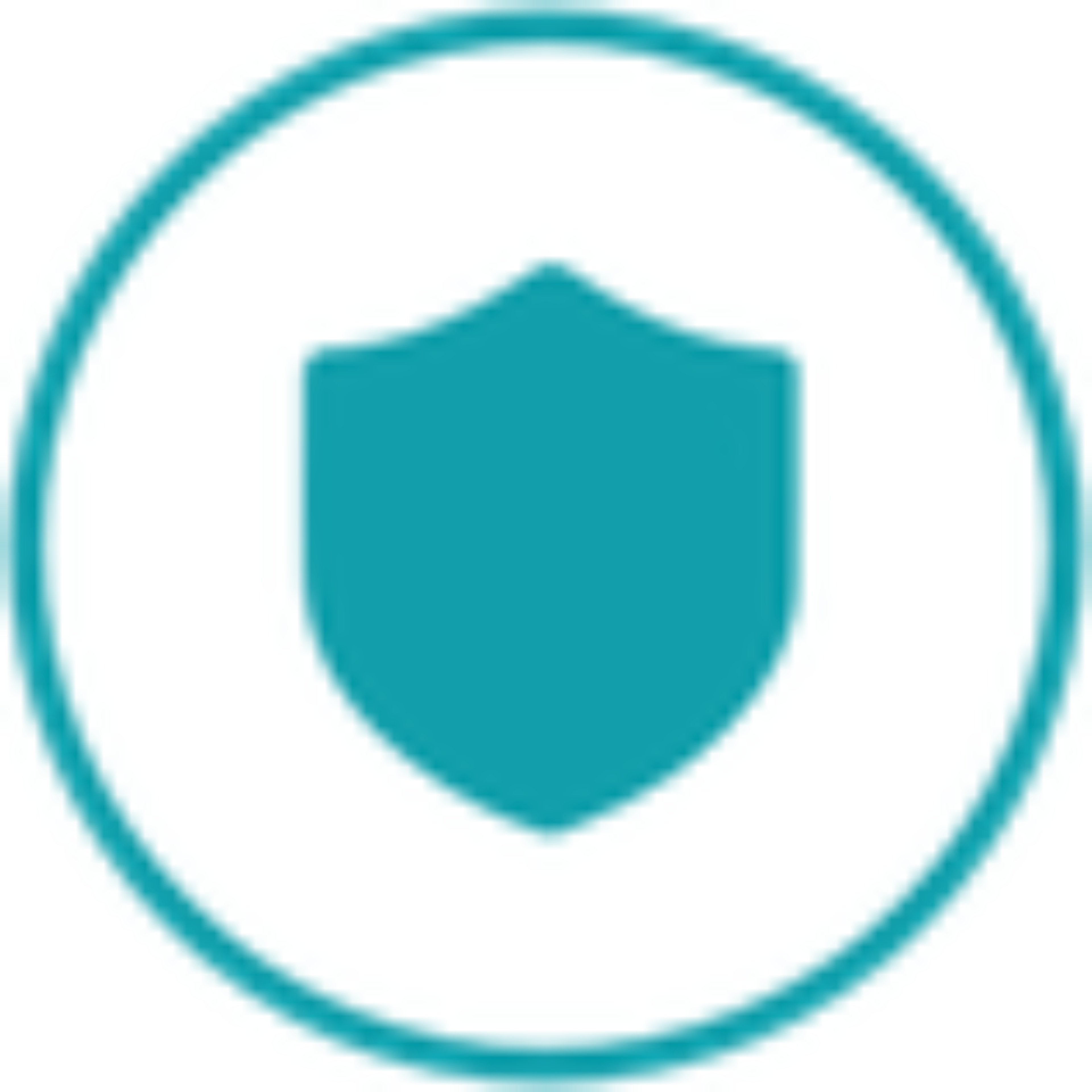 Shield icon