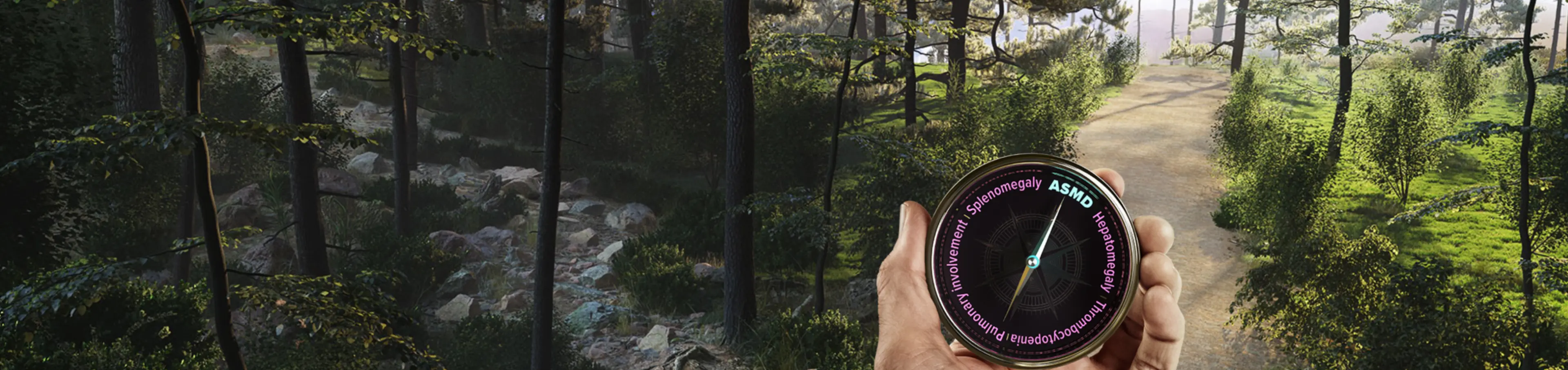 Image of a hand holding a compass pointing to ASMD, which leads a path through the forest.