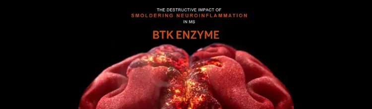 BTK Enzyme