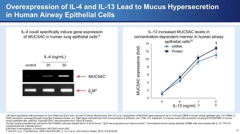 Expert Talks Type 2 Inflammation in COPD | Campus Sanofi