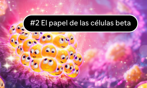 el papel oculta de las células beta