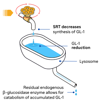 SRT decreases synthesis of LG-1 MOA visual
