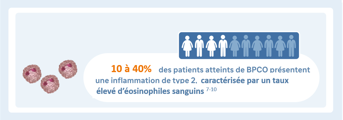 10 à 40% des patients atteints de BPCO présentent une inflammation de type 2, caractérisée par un taux élevé d'éosinophiles sanguins.
